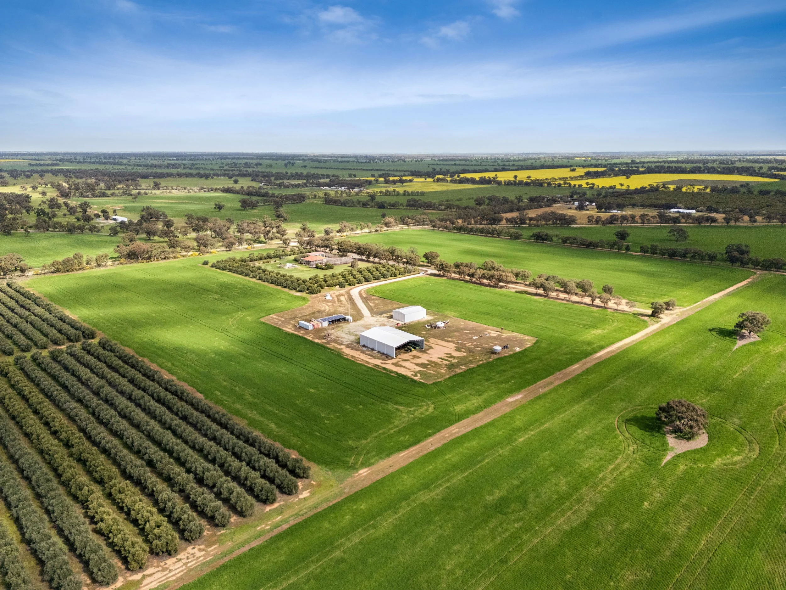 PRINT_DJI_20260813125535_0048_D_36.jpg