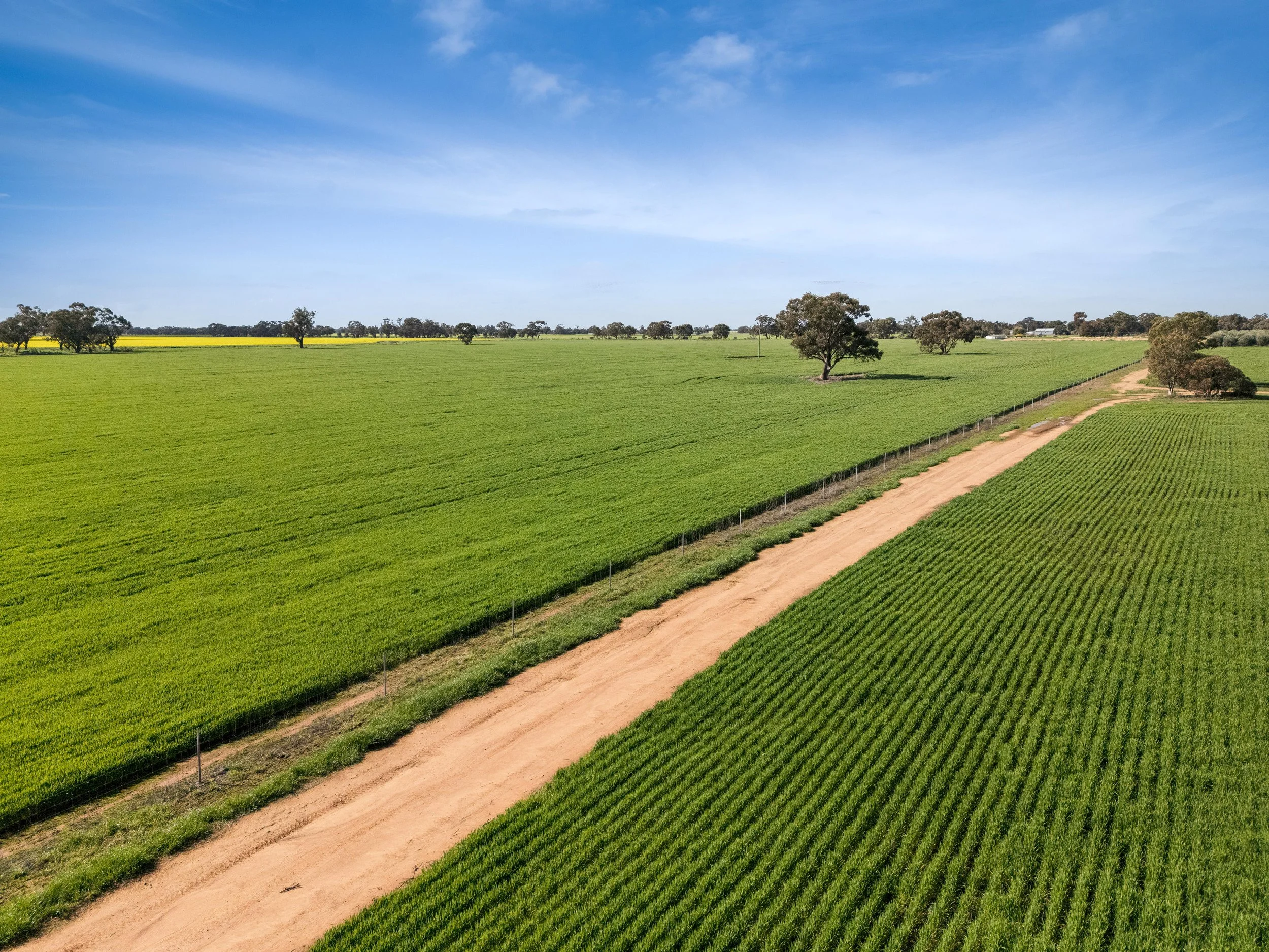 PRINT_DJI_20260813131109_0113_D_38.jpg