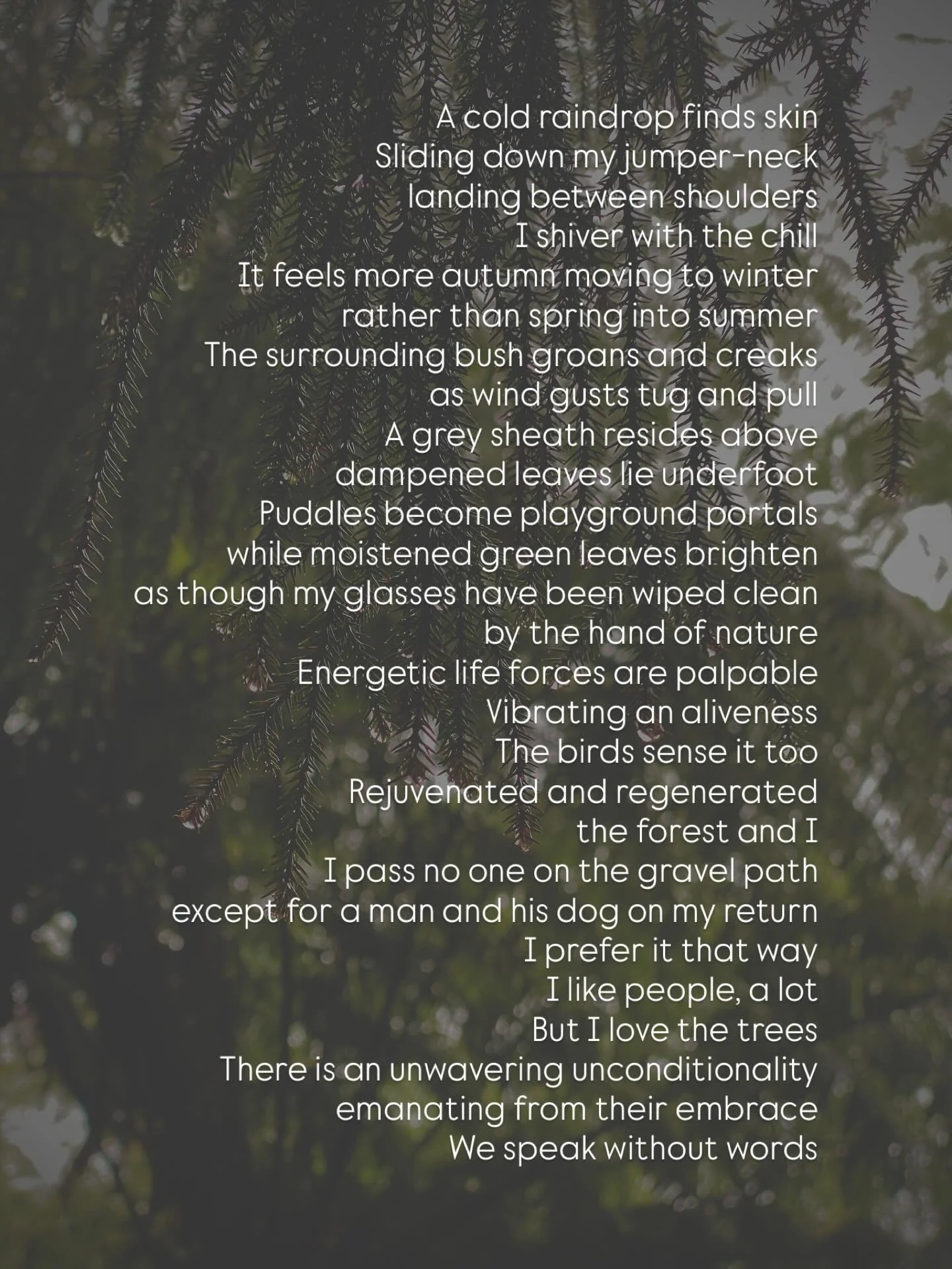 Tuesday words | it&rsquo;s been a while since I&rsquo;ve captured in writing, feelings and experiences. The words seem to get tangled between mind and paper. Felt good today to get this down while walking on a very wet and windy spring day through na