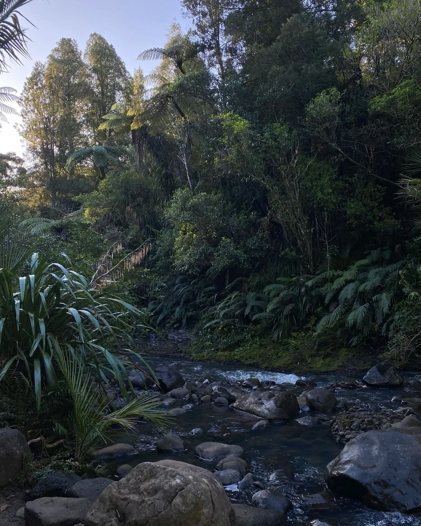 Heading off social media until the new year. Much love to all xx