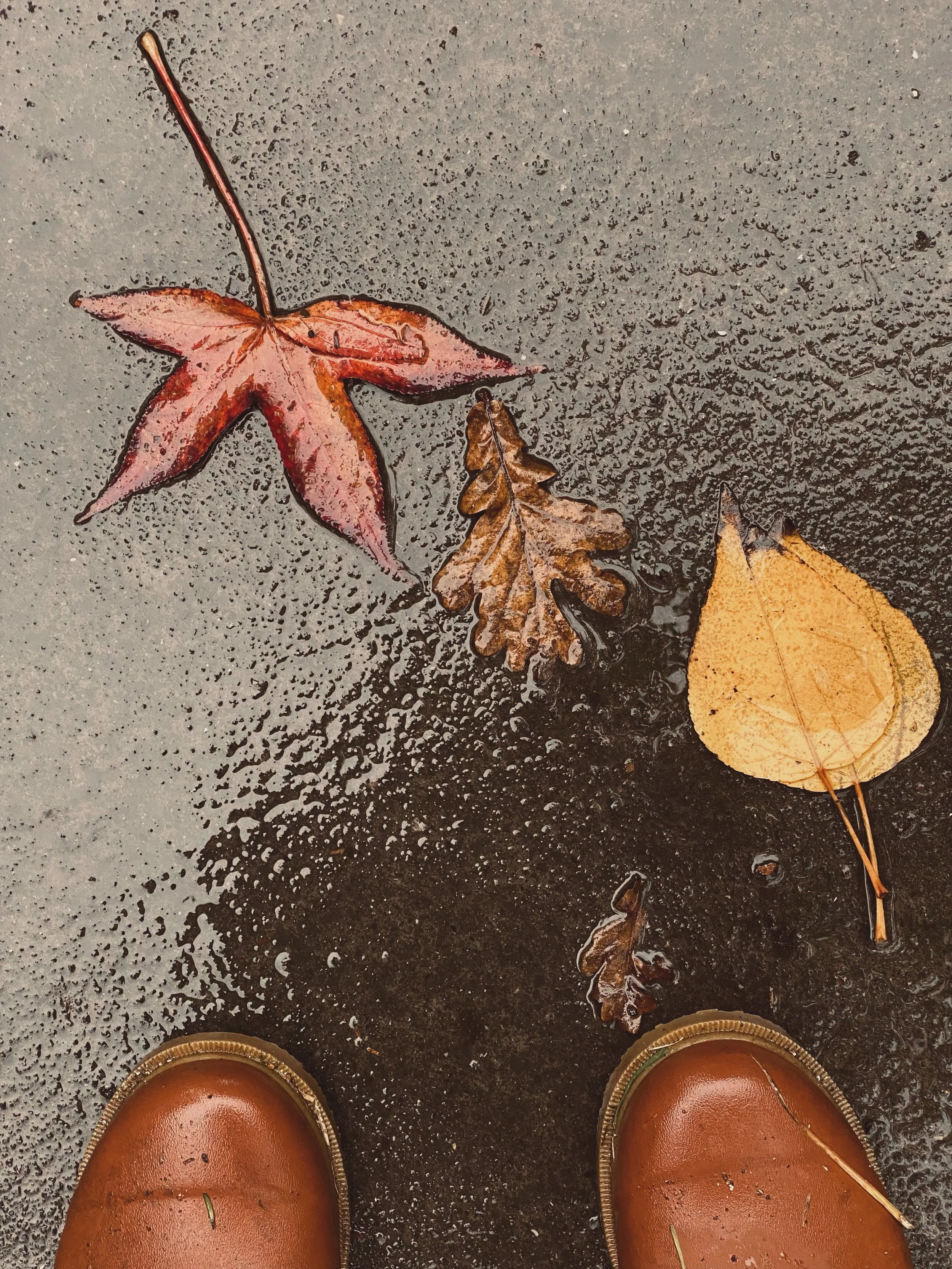 &ldquo;We make our paths by walking them - and this is the new pathway our Earth wants us to create. A pathway back to self-acceptance, interconnection, belonging, and benevolence. A journey that leads to a world in which all of life is seen as preci