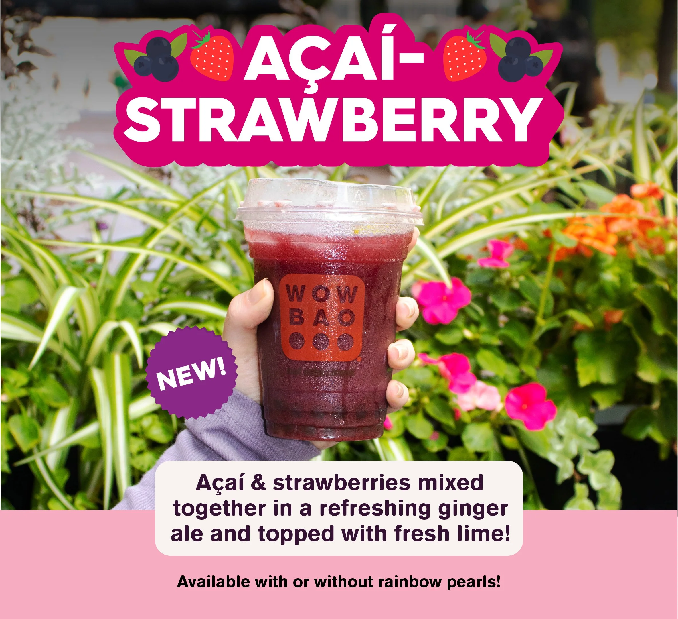 Acai_Strawberry_Ginger_Ale_Promo.jpg
