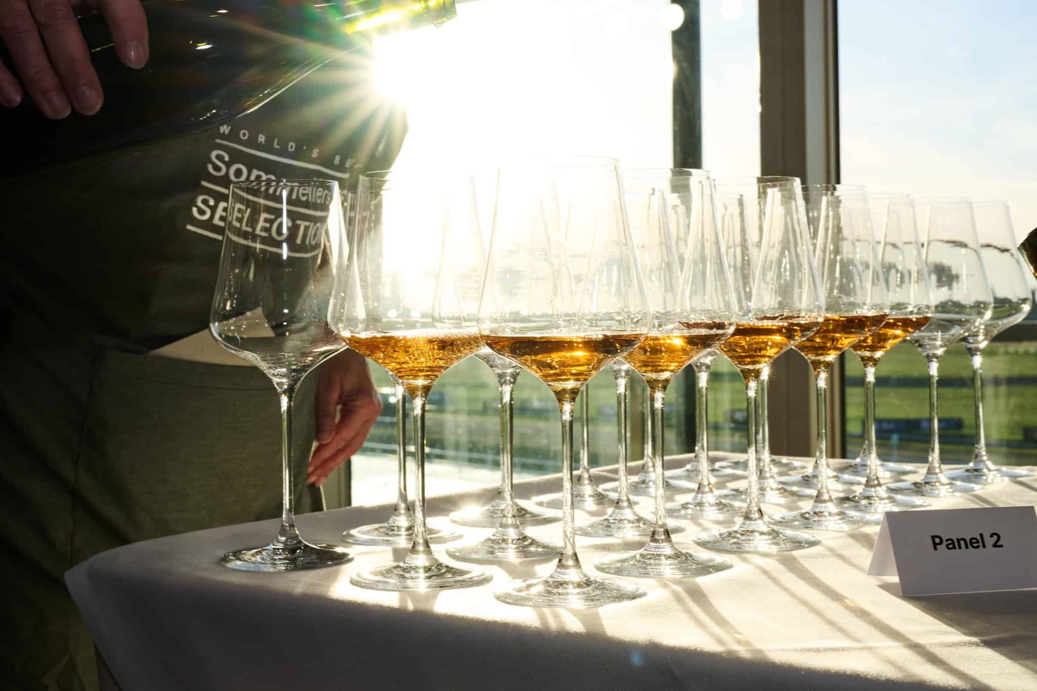 Are Wine Ratings and Awards Still Relevant?