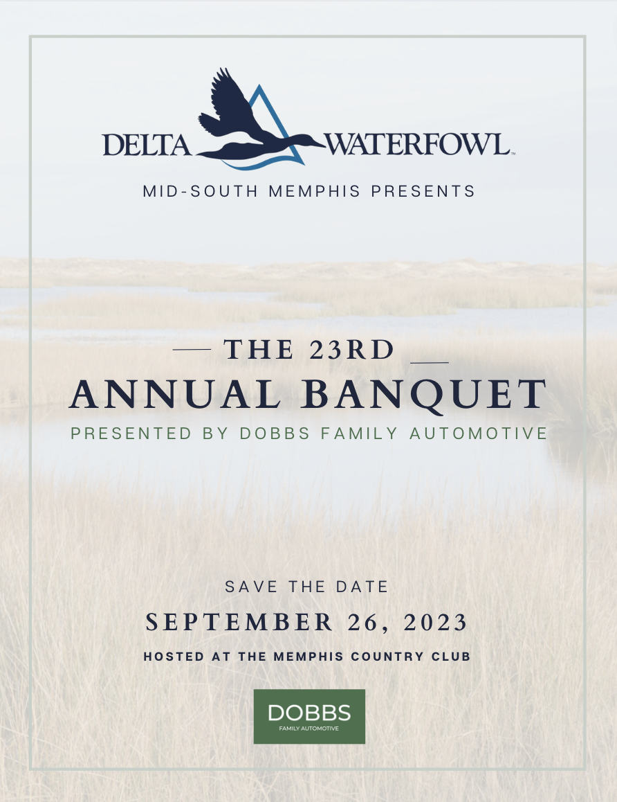 Screen Shot 2023-08-04 at 9.48.46 AM.png