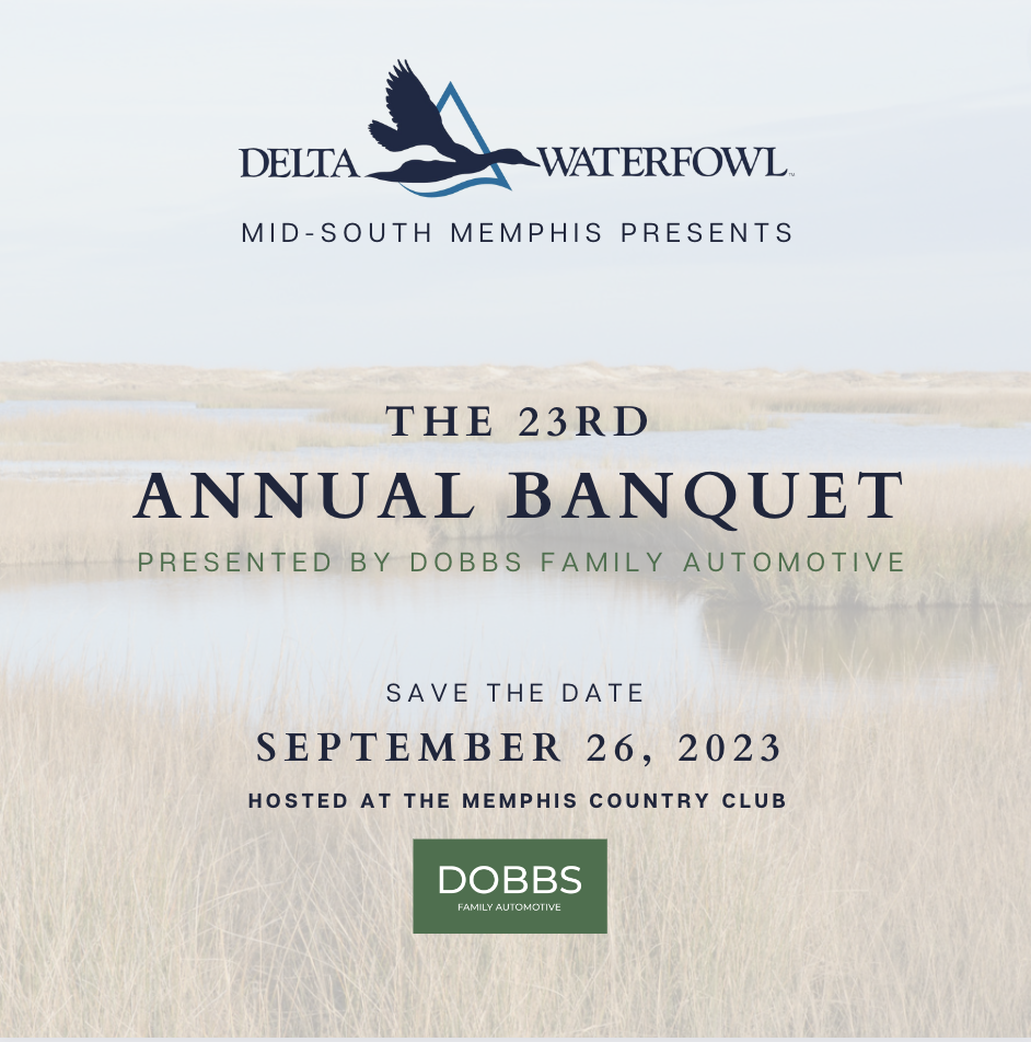 Screen Shot 2023-08-04 at 9.42.03 AM.png