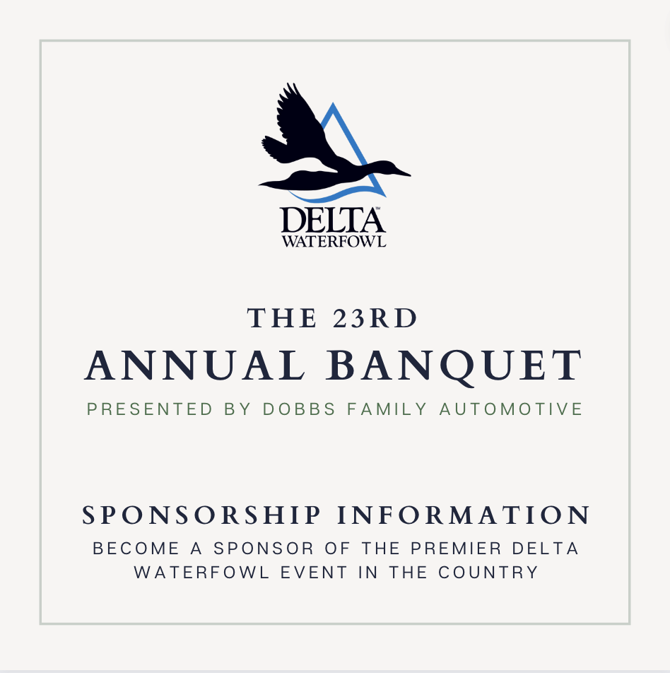 Screen Shot 2023-08-04 at 9.42.50 AM.png