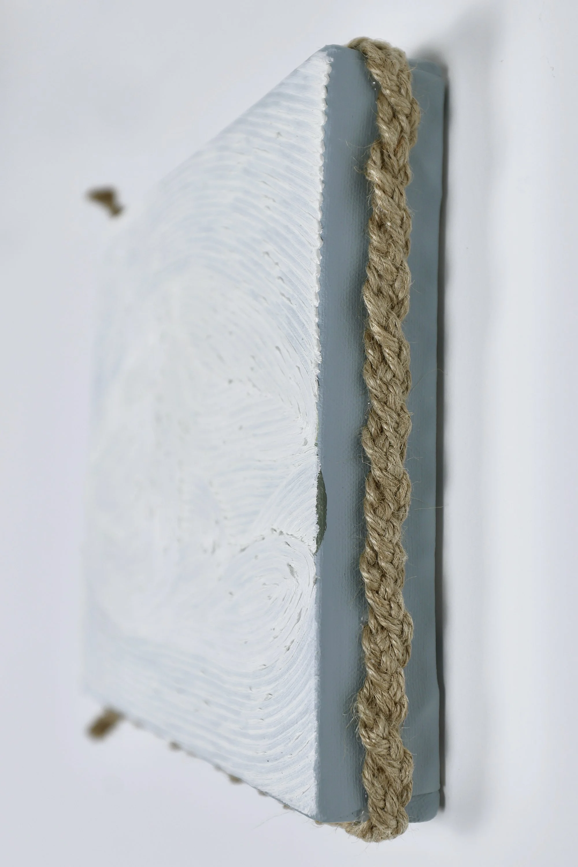 Grain Buds《療癒計畫——小滿》,
No. 8106052507,
2025,
twisted rope (attached to side), oil and acrylic on canvas,
20 x 20 cm (7.87 x 7.87 in.)