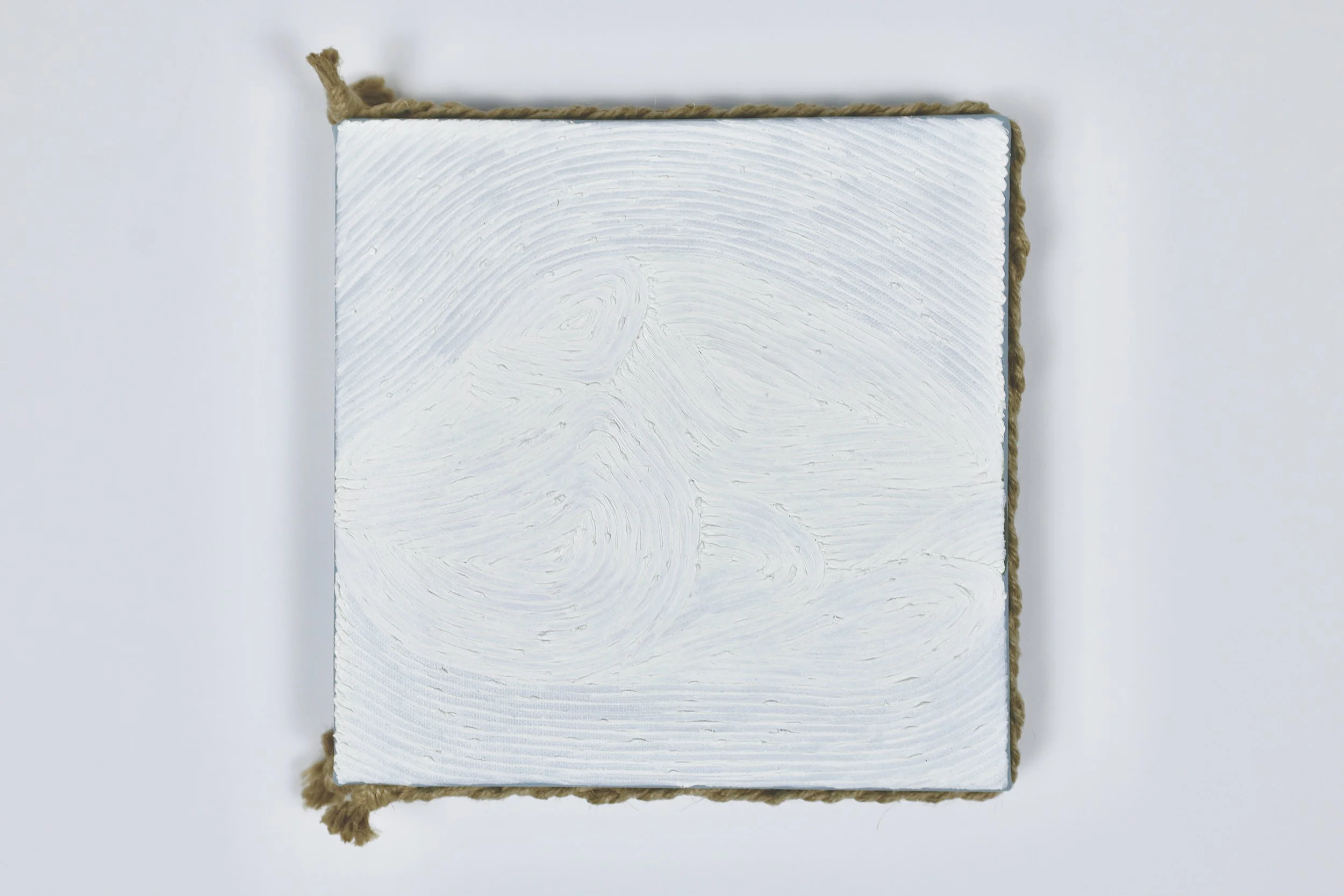 Grain Buds《療癒計畫——小滿》,
No. 8106052507,
2025,
twisted rope (attached to side), oil and acrylic on canvas,
20 x 20 cm (7.87 x 7.87 in.)