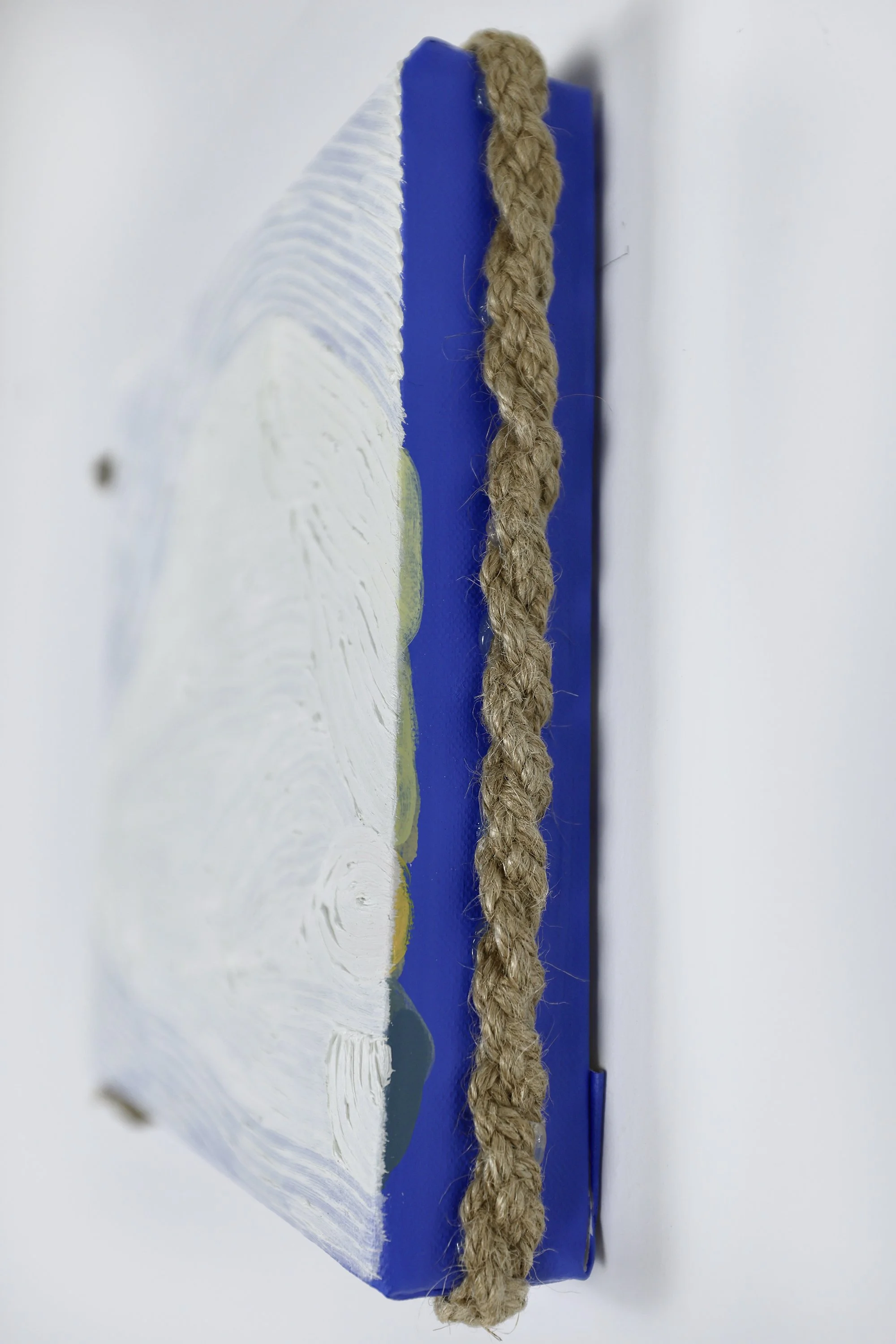 Grain Buds《療癒計畫——小滿》,
No. 8106052501,
2025,
twisted rope (attached to side), oil and acrylic on canvas,
20 x 20 cm (7.87 x 7.87 in.)