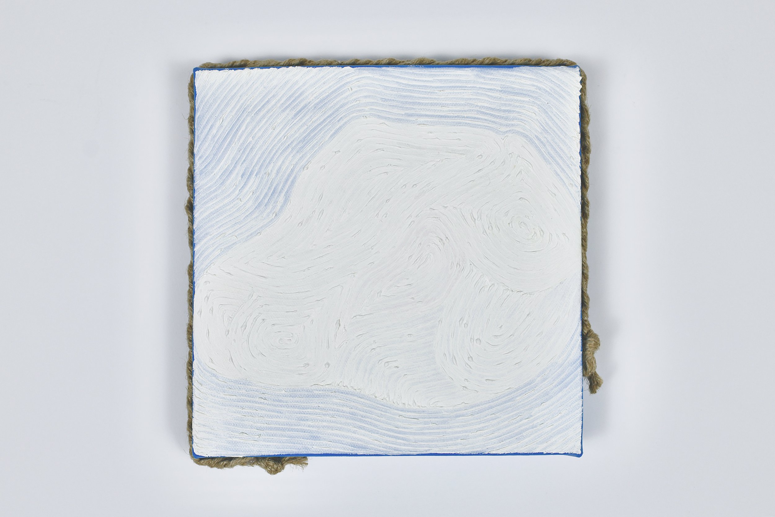 Grain Buds《療癒計畫——小滿》,
No. 8106052502,
2025,
twisted rope (attached to side), oil and acrylic on canvas,
20 x 20 cm (7.87 x 7.87 in.)