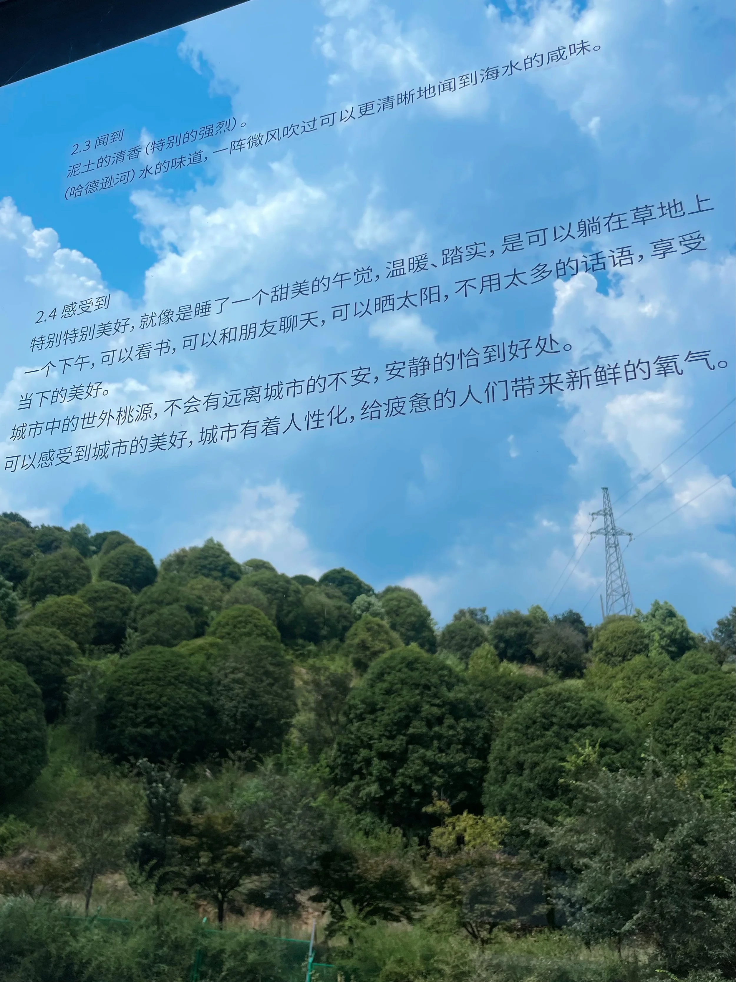 Golden Alchemist Gallery-乘物以游心-Installation Photo 04.10.jpg