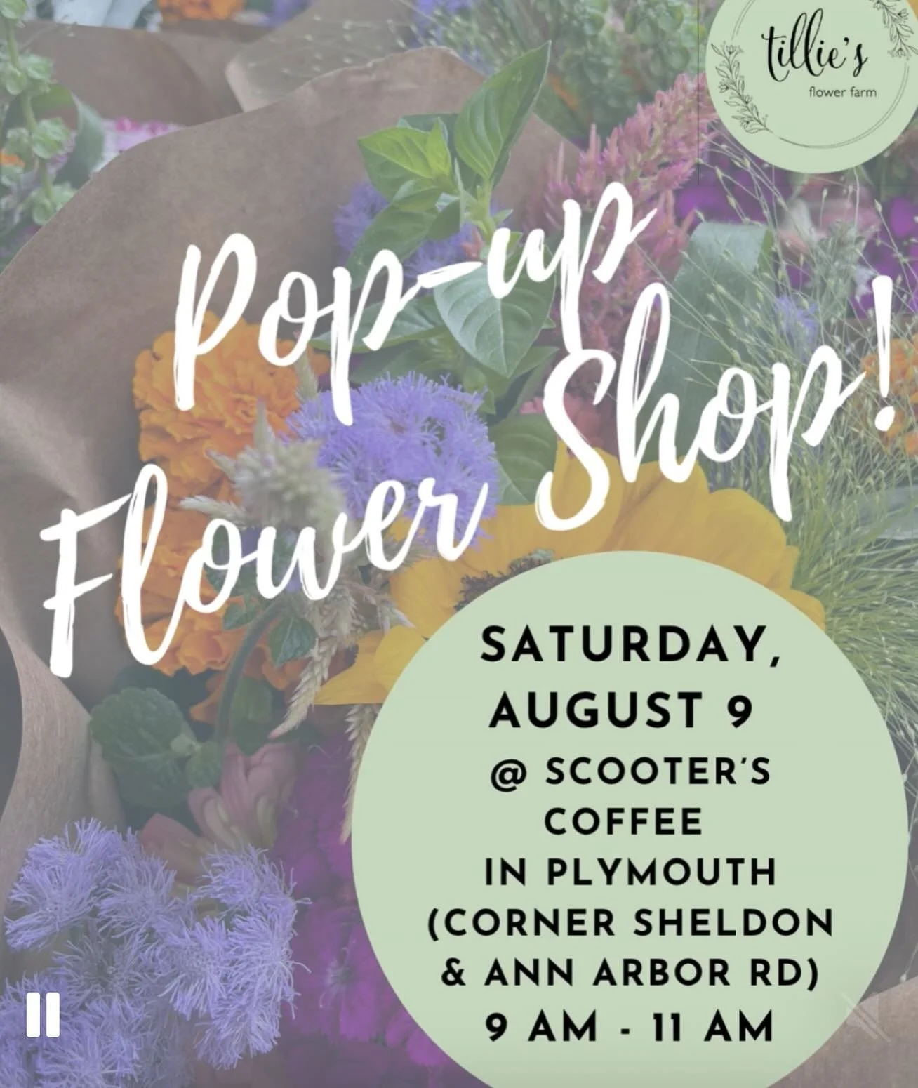 POP-UP FLOWER SHOP THIS SATURDAY, AUGUST 9. Grab a bouquet and your Saturday morning coffee @Scooters Coffee in Plymouth (corner of Ann Arbor and Sheldon Roads) from  9am to 11am! We hope to see you there! 🌸 🌸 🌸#tilliesflowerfarm  #microflowerfarm