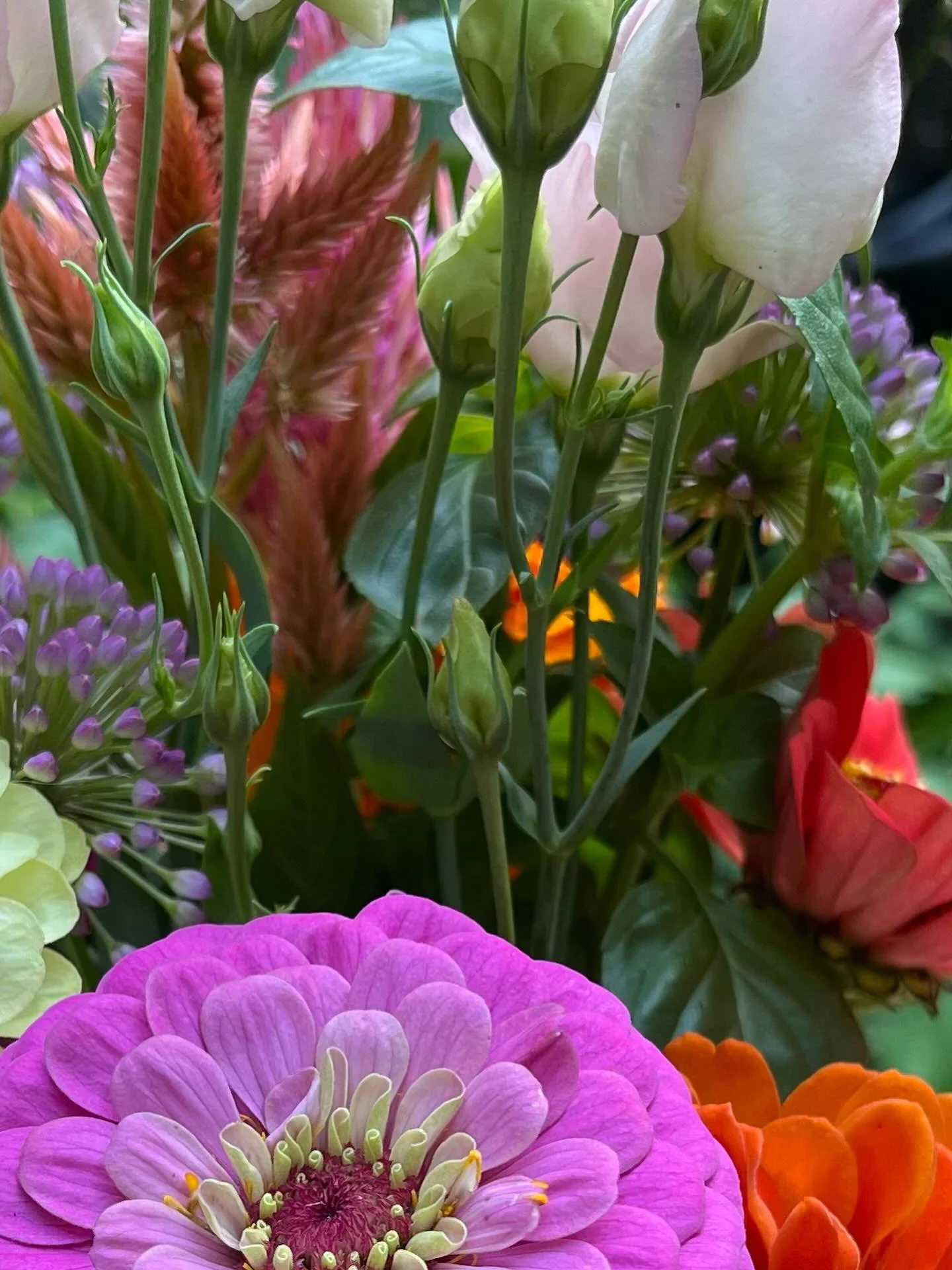 🌸 Looking for a bouquet this weekend? We have you covered!

SATURDAY, AUGUST 9:  Come visit us at our pop-up flower shop  9am -11 am at Scooter&rsquo;s Coffee in Plymouth @scooterscoffee   You&rsquo;ll also find our bouquets at:*  - Old Village Gene