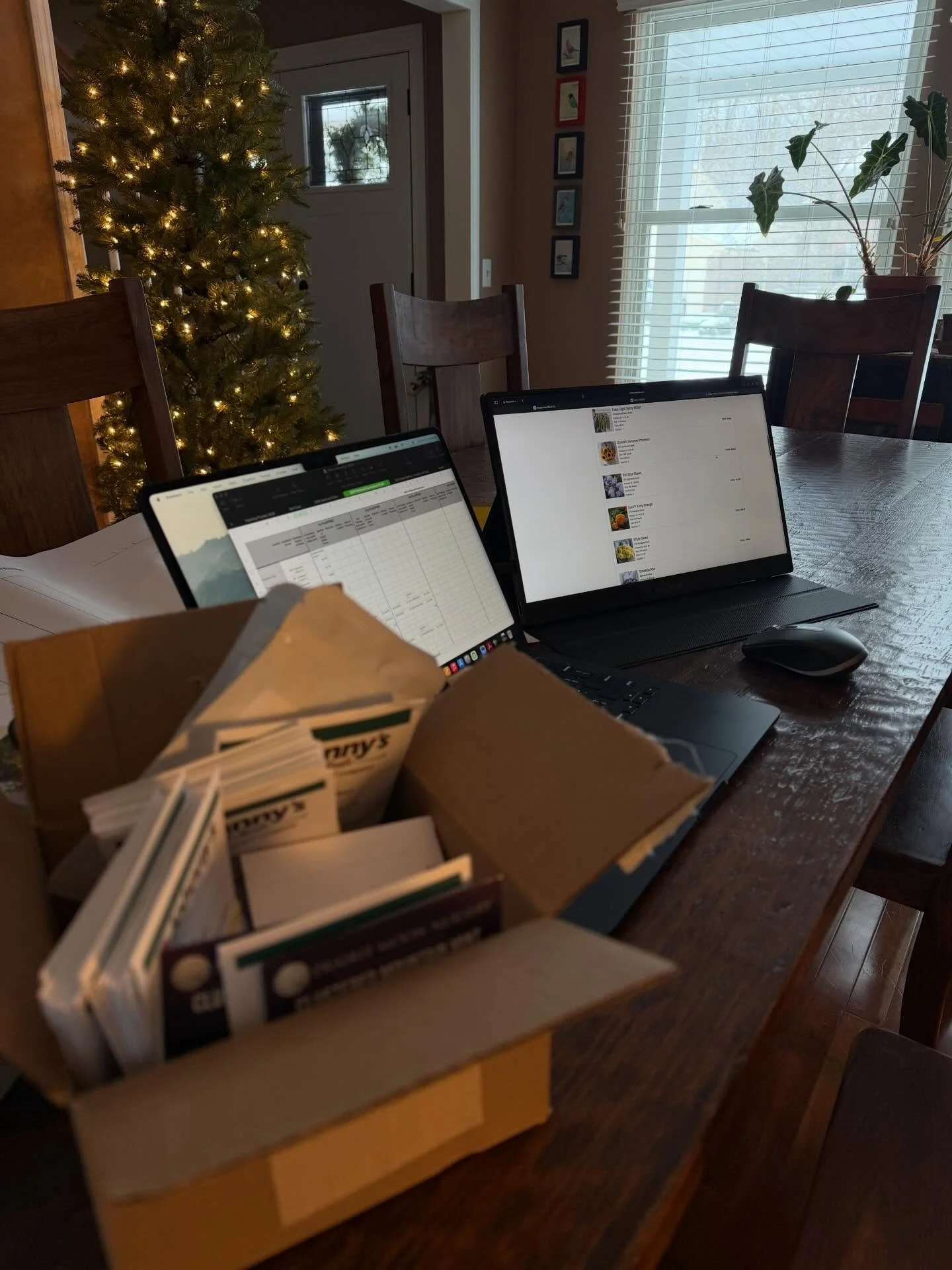 Doing one of my favorite activities on this cold, snowy Sunday - planning for the upcoming season! 🌷🌻🌸

Stay warm and safe if you venture out. ❄️

(And yes, that is a Christmas tree in the background. I love the sparkly lights and it will stay up 