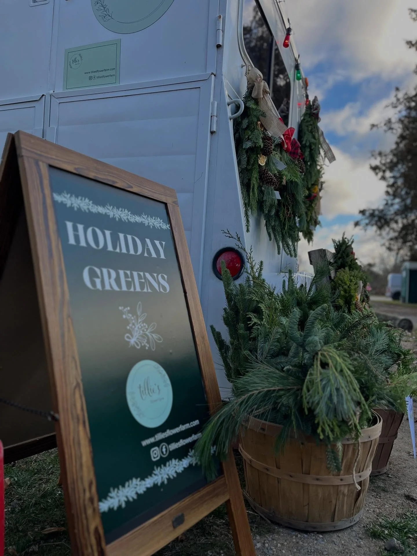 ✨Tis the season for Tillie&rsquo;s fresh holiday greens! Stop by @grayesgreenhouse to get your  wreath, door/mailbox swags &amp; birch evergreen centerpieces. Then wander through the greenhouse and the holiday house to see the great gifts and treasur