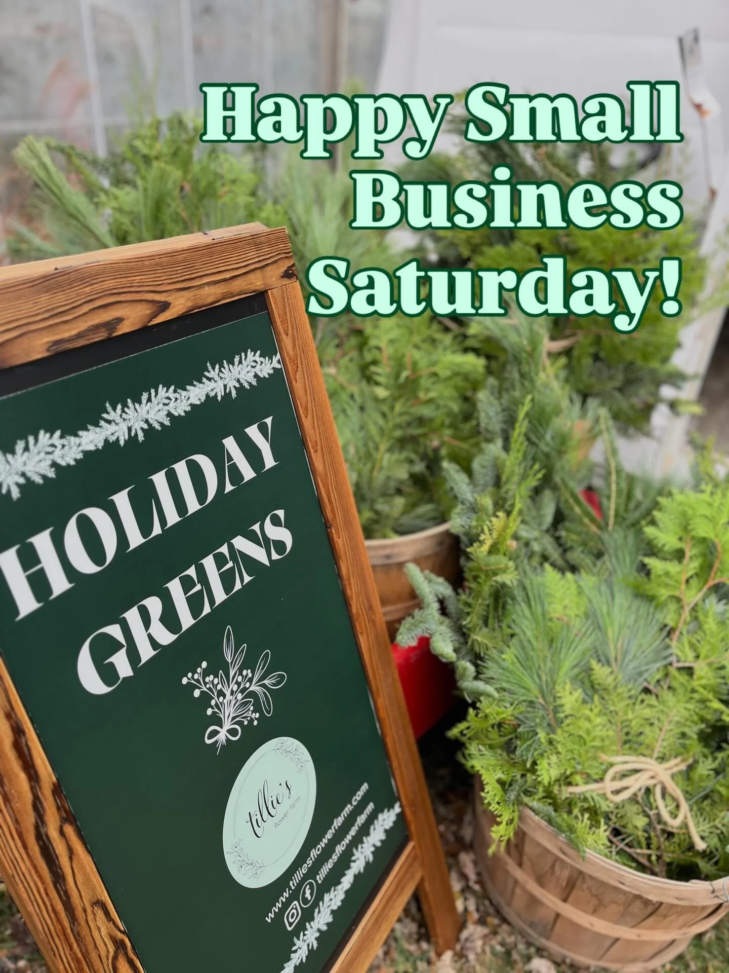 Happy Small Business Saturday! 
Come shop our fresh holiday greens, wreaths, and swags at @grayesgreenhouse . Open Saturday 10a-5p. 
Thank you for supporting local. 💚
📍8820 N Lilley Rd., Plymouth 
.
.
.
#tilliesflowerfarm 
#holidaygreens
#wintergre
