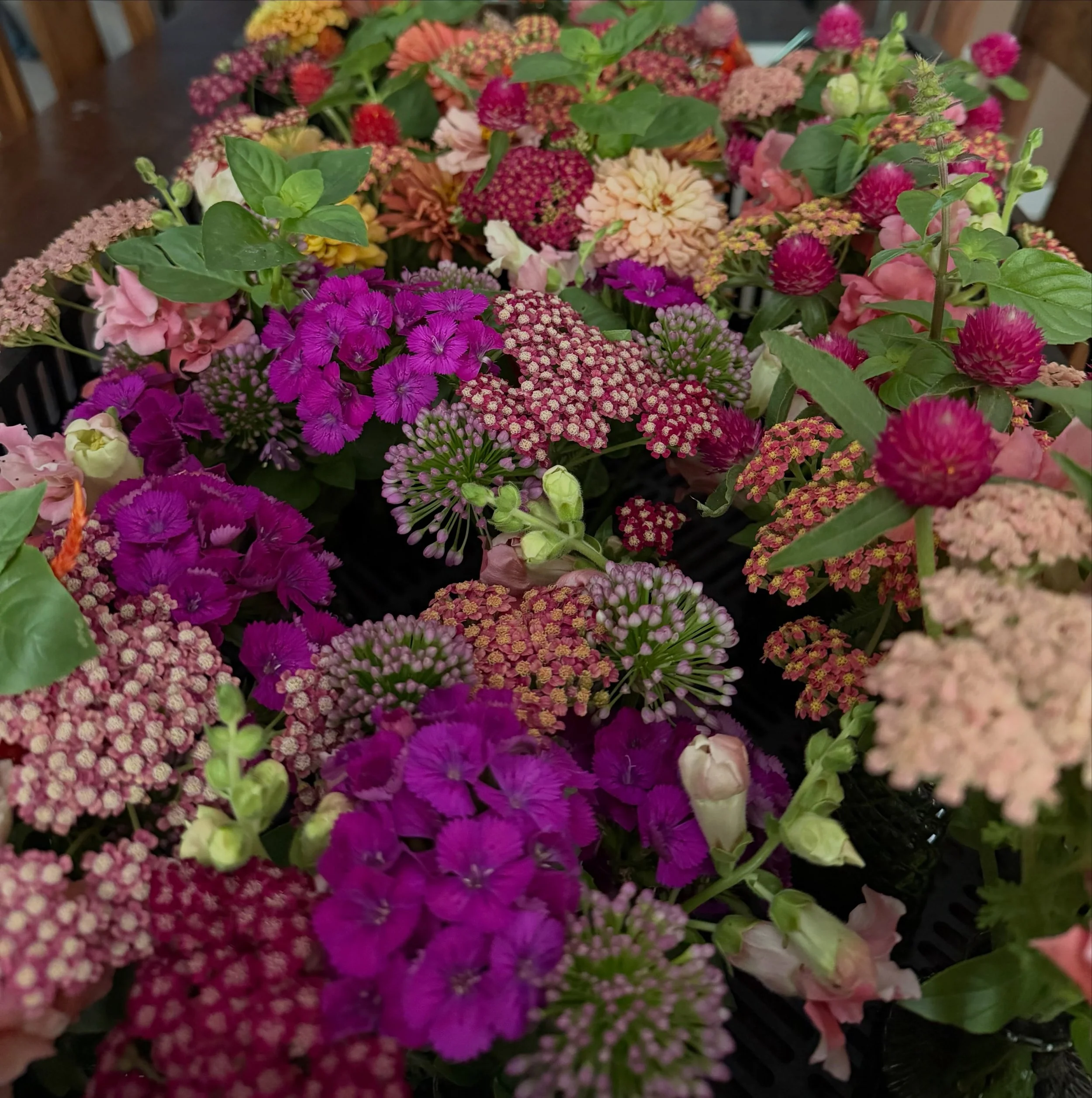 Had so much fun making these garden party inspired centerpieces and bouquets for a graduation party today. @events_by_shalisa_bird 
.
.
.
#tilliesflowerfarm 
#microflowerfarm
#localflowers
#plymouthmi
#eventsbyshalisabird