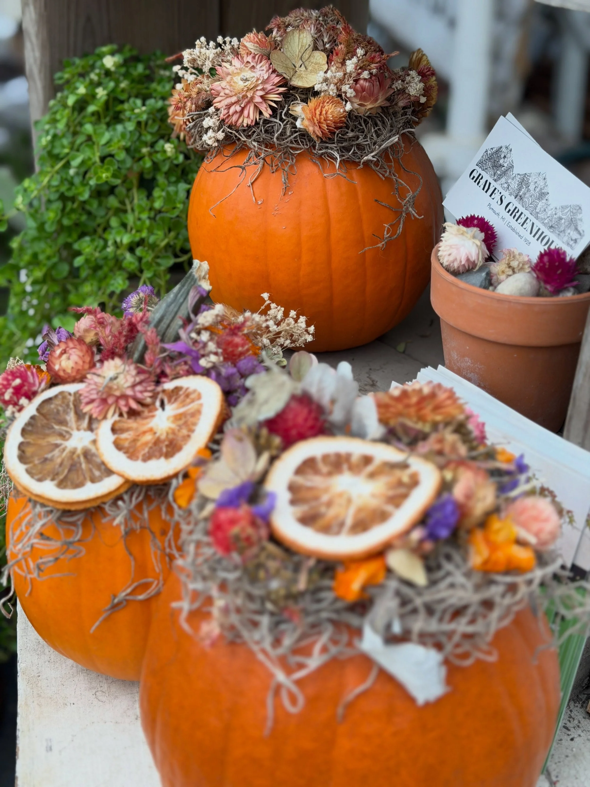 Excited for our dried flour pumpkin workshop this Sunday, October 18 at Graye&rsquo;s Greenhouse!! We still have a few spots left for our 11 AM workshop. Tickets at www.tilliesflowerfarm.com.