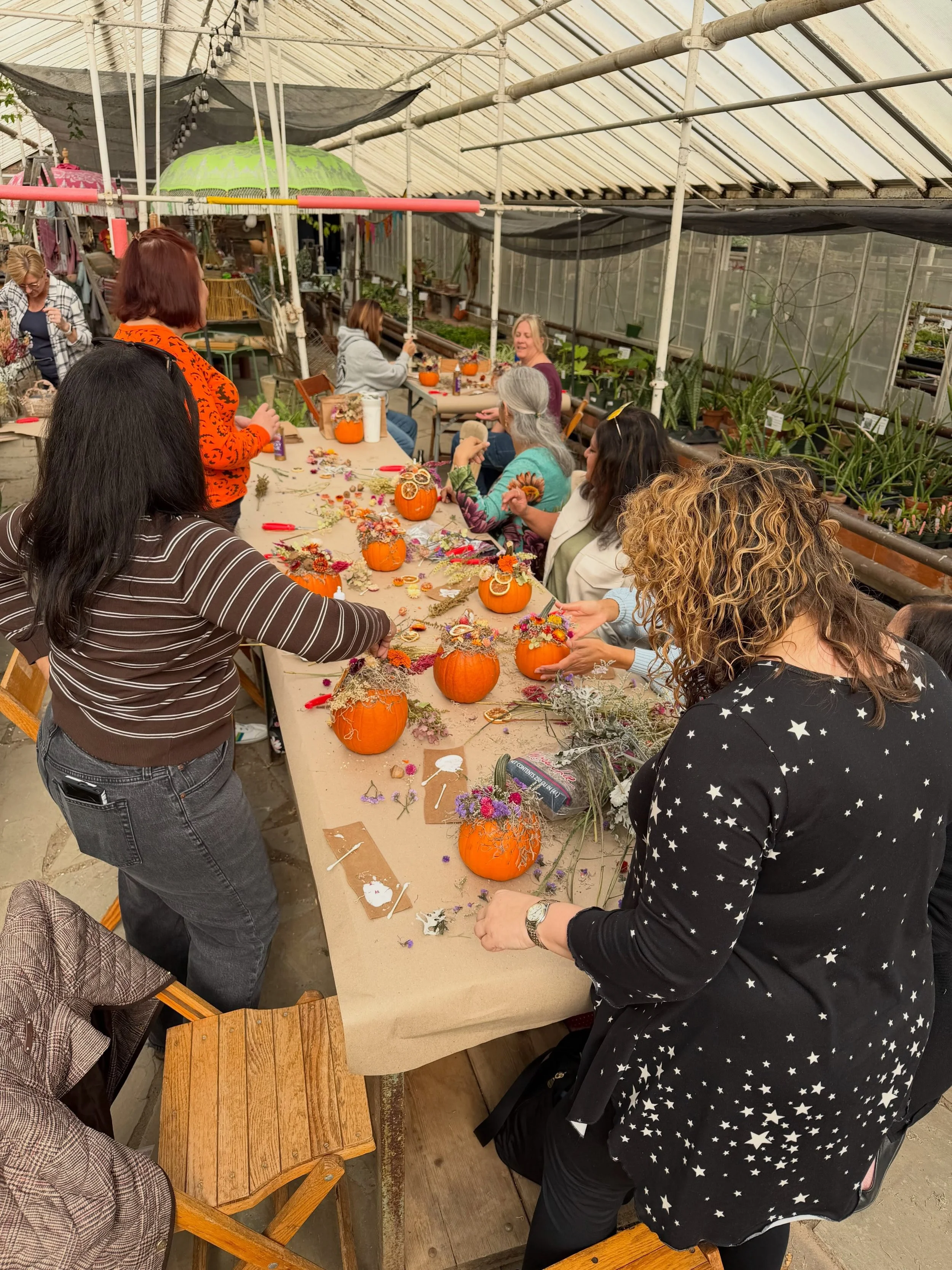 What a fun Sunday at @grayesgreenhouse! We loved hosting our dried flower pumpkin workshops and seeing everyone&rsquo;s beautiful creations. 

One of the sweetest moments was having a family join us to celebrate a birthday. It was so special to be a 