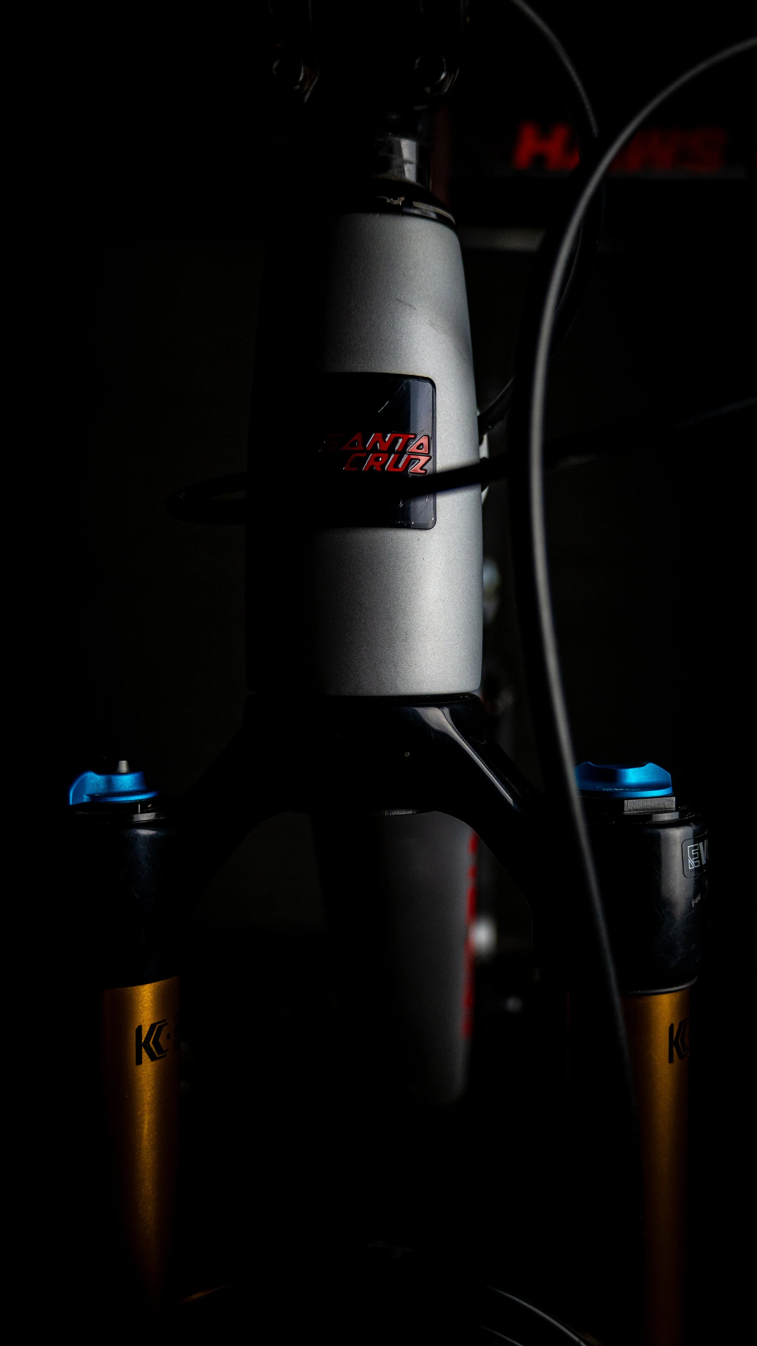 DAY02889.jpg