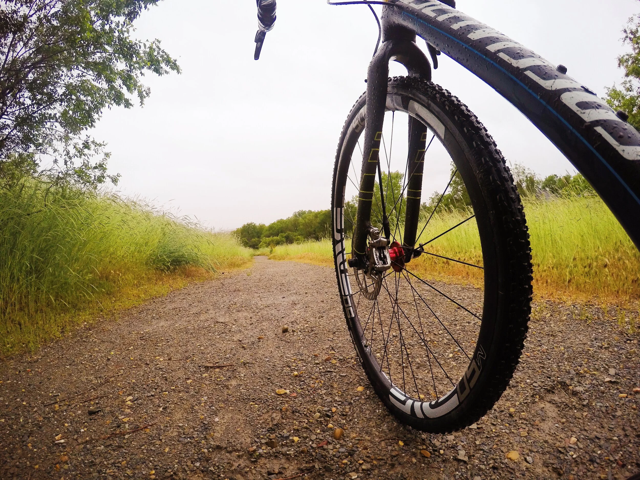 ENVE M50 for CX bikes