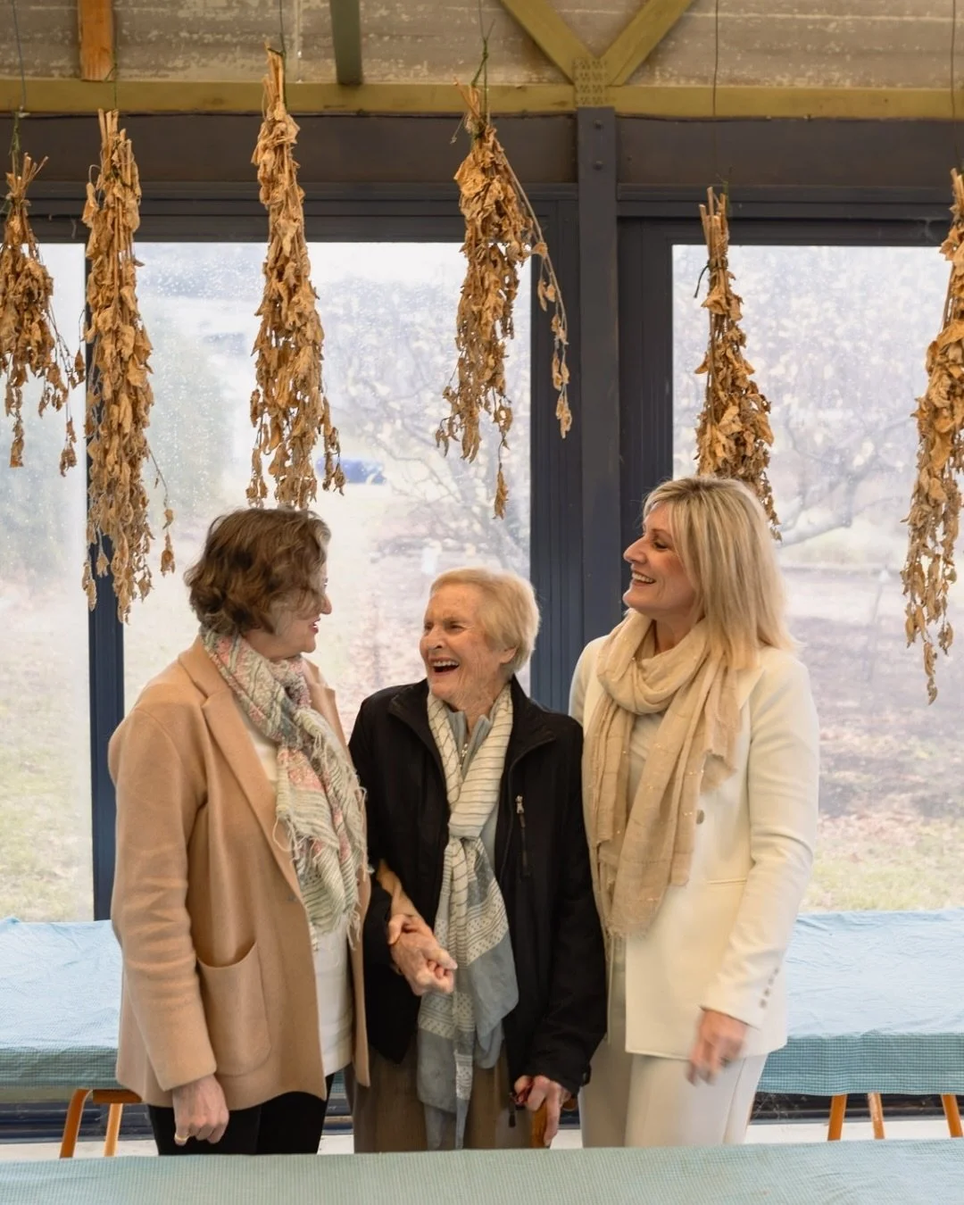 Dear community, here&rsquo;s a behind-the-scenes update... 

🌸 Our Adelaide Hills farm is bursting with color...the new flower crops are an absolute rainbow across the fields 🌈 It&rsquo;s pure magic. Our Claret Ash Farm team are picking a huge harv