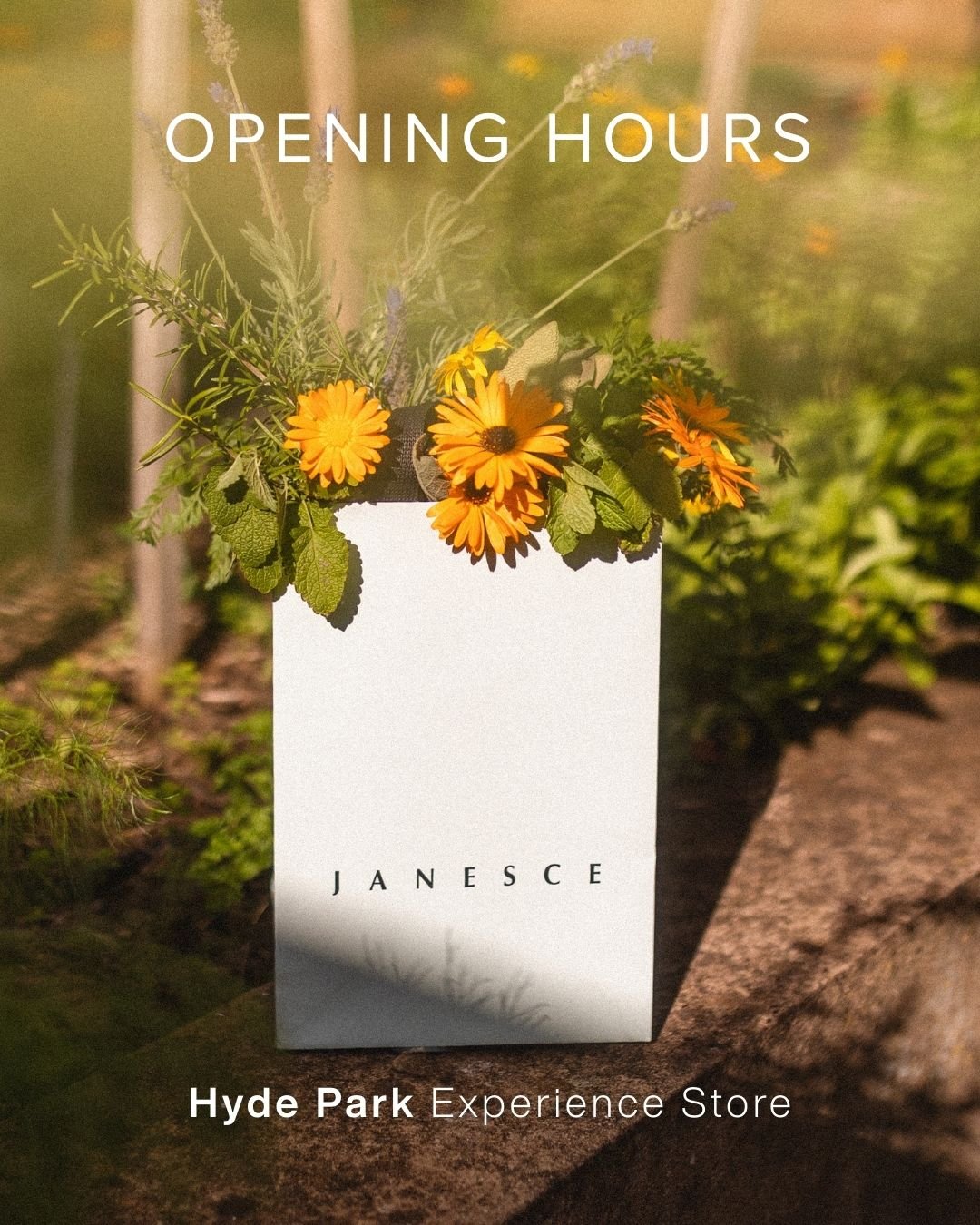 We&rsquo;re staying open a little longer in the lead-up to Christmas. Whether you&rsquo;re stocking up on your favourite Janesce products, choosing thoughtful gifts or booking in for your favourite skin + beauty treatments, our team is here to help y