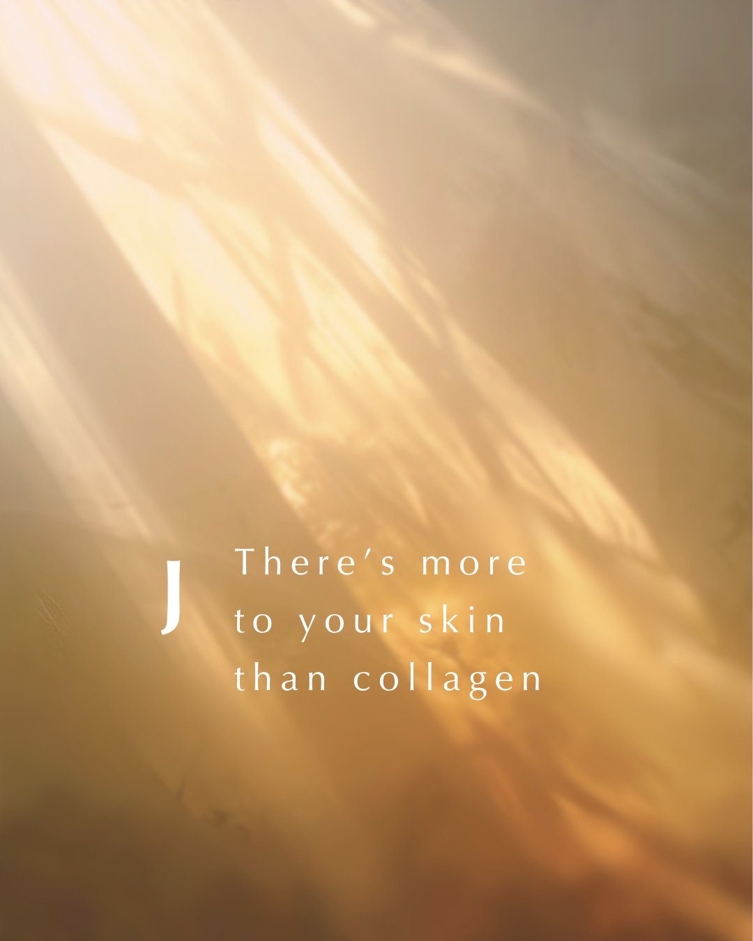 There's more to your skin than collagen.⁠
⁠
We talk a lot about collagen. But there is another protein your skin relies on. Elastin and it matters more than you think.⁠
⁠
Are you supporting your skin beyond collagen?⁠
⁠
Subscribe to our VIP mailing l