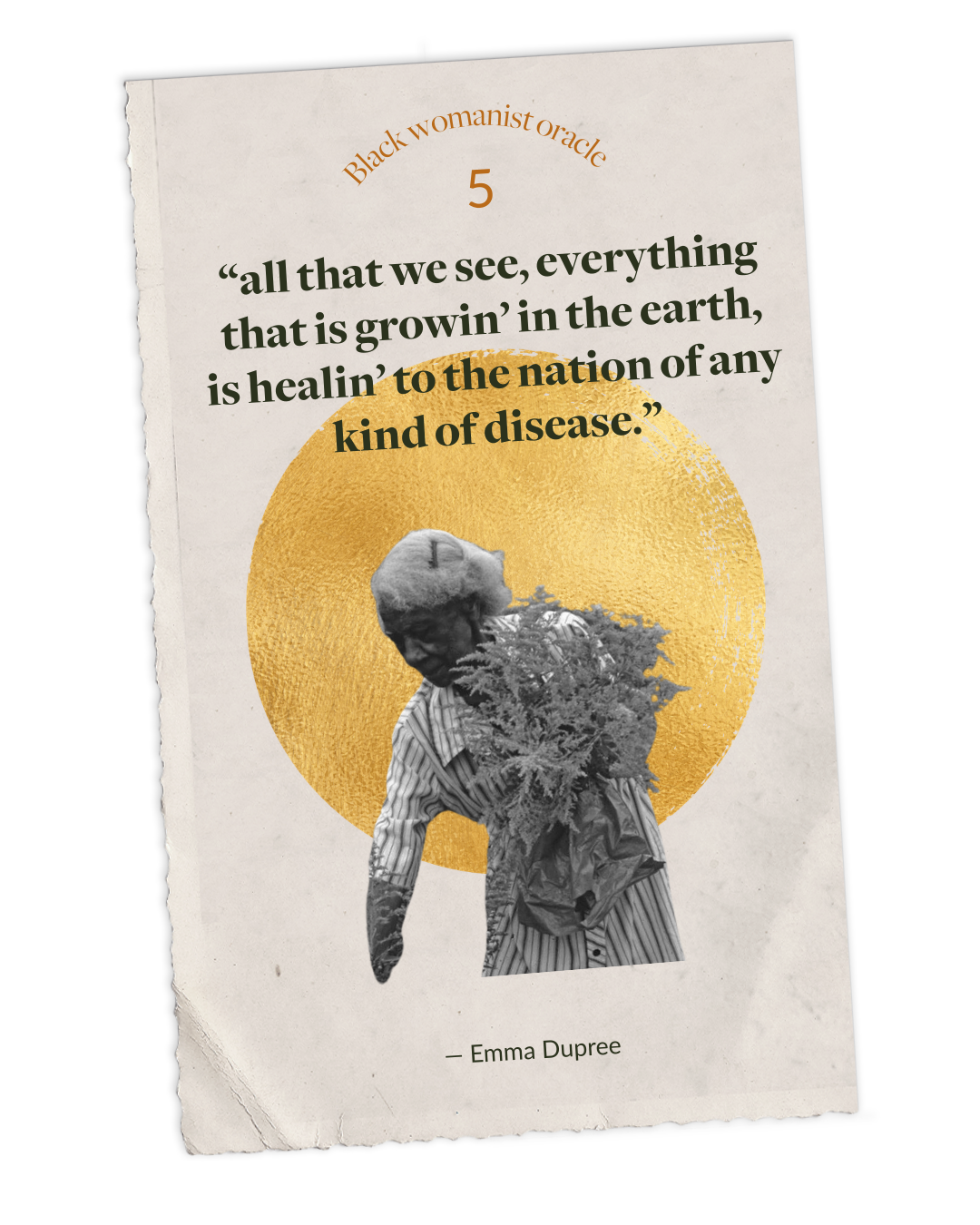  “All that we see, everything that is growin’ in the earth, is healin’ to the nation of any kind of disease.”  Emma Dupree 