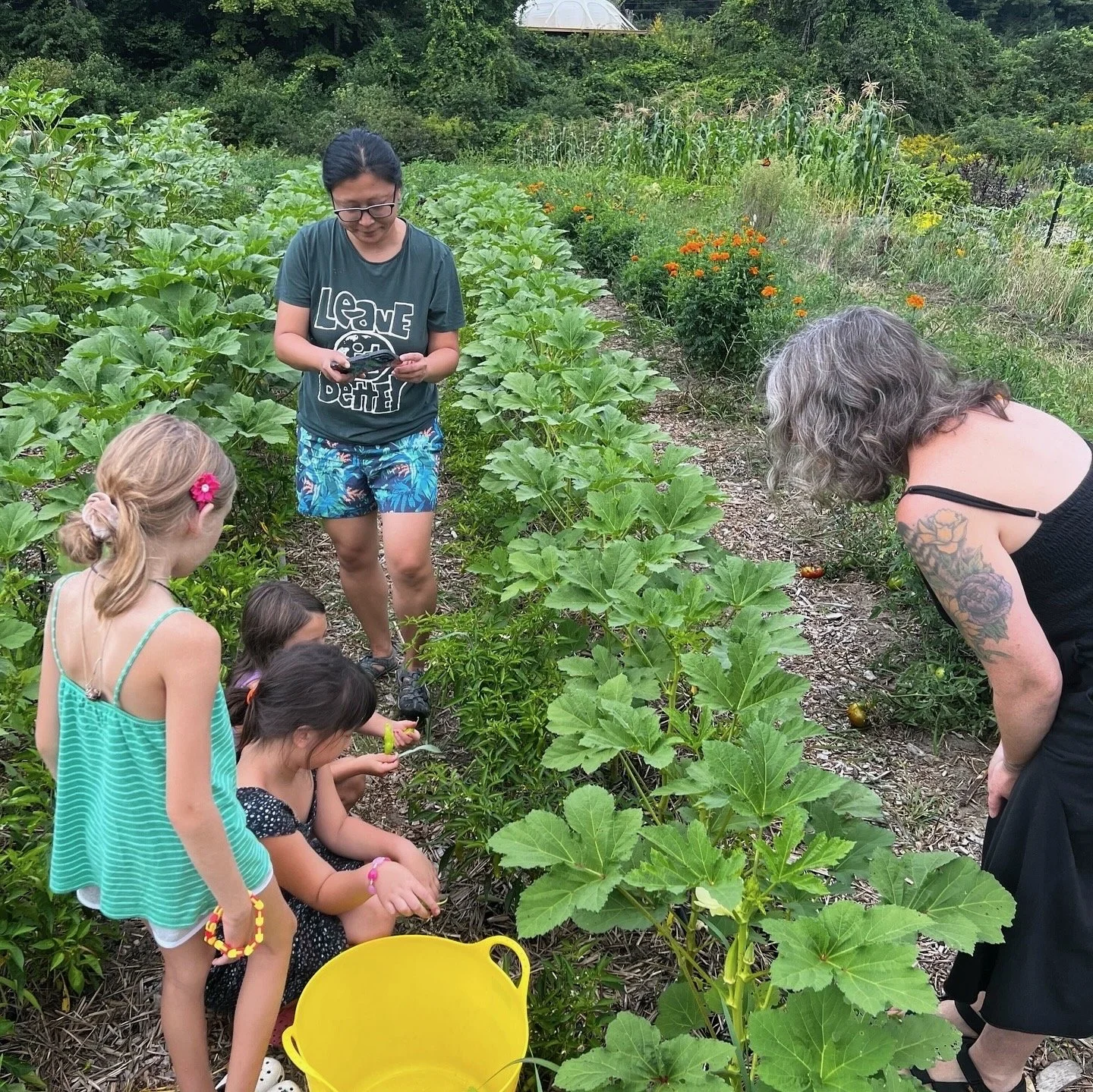 open days + pick-your-own garden