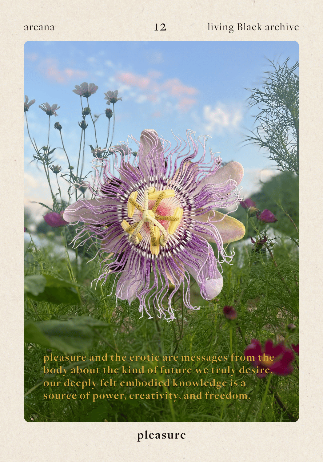 pleasure arcana card