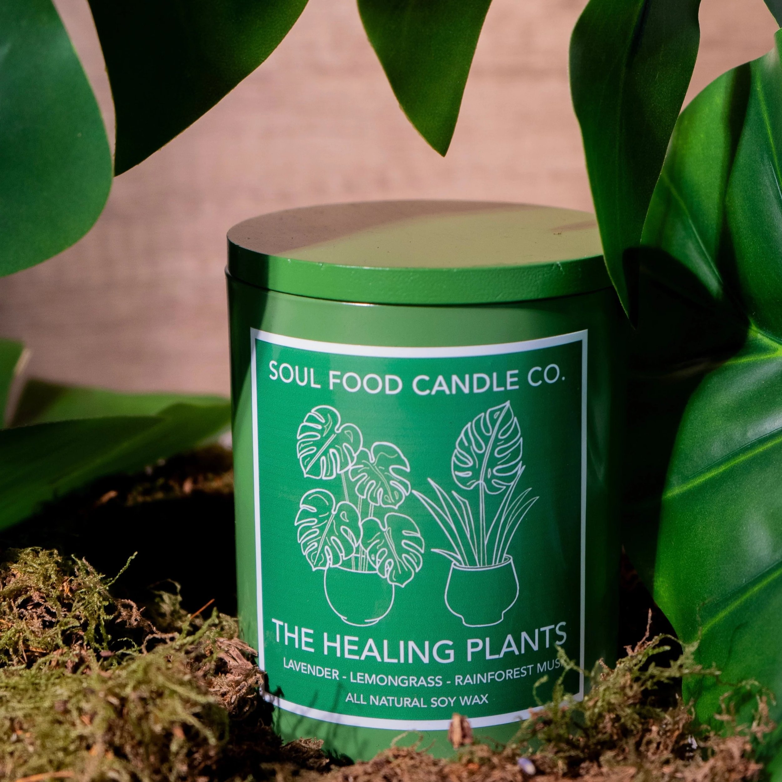 healing plants 2.jpeg