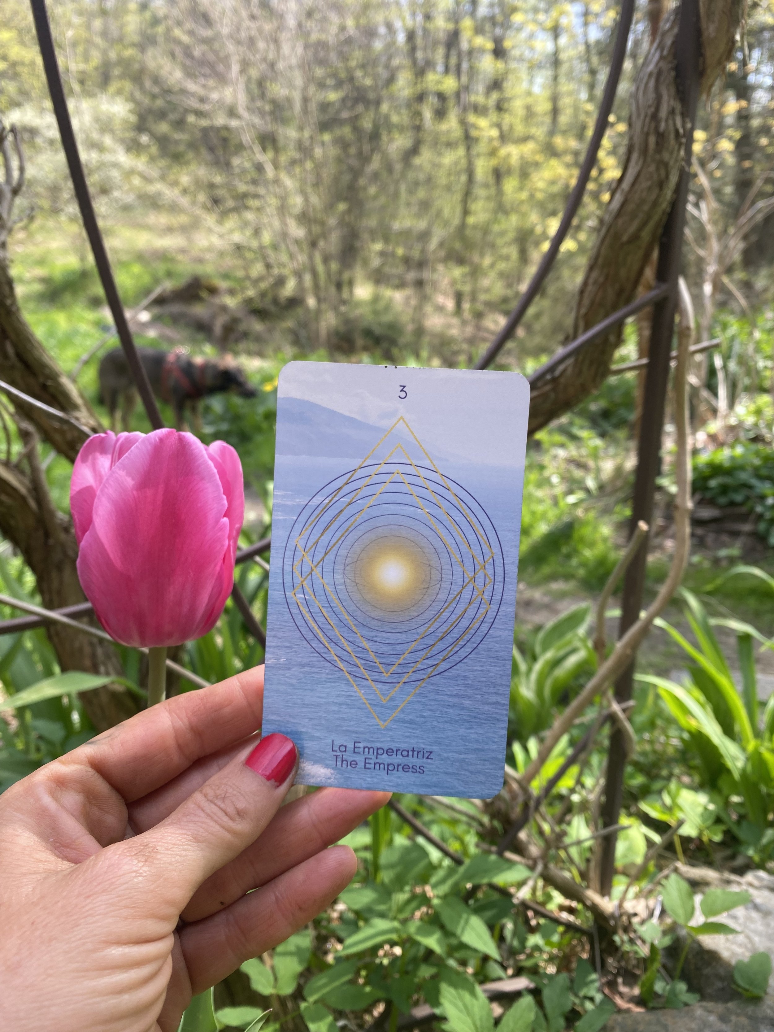somatic tarot 3.jpg