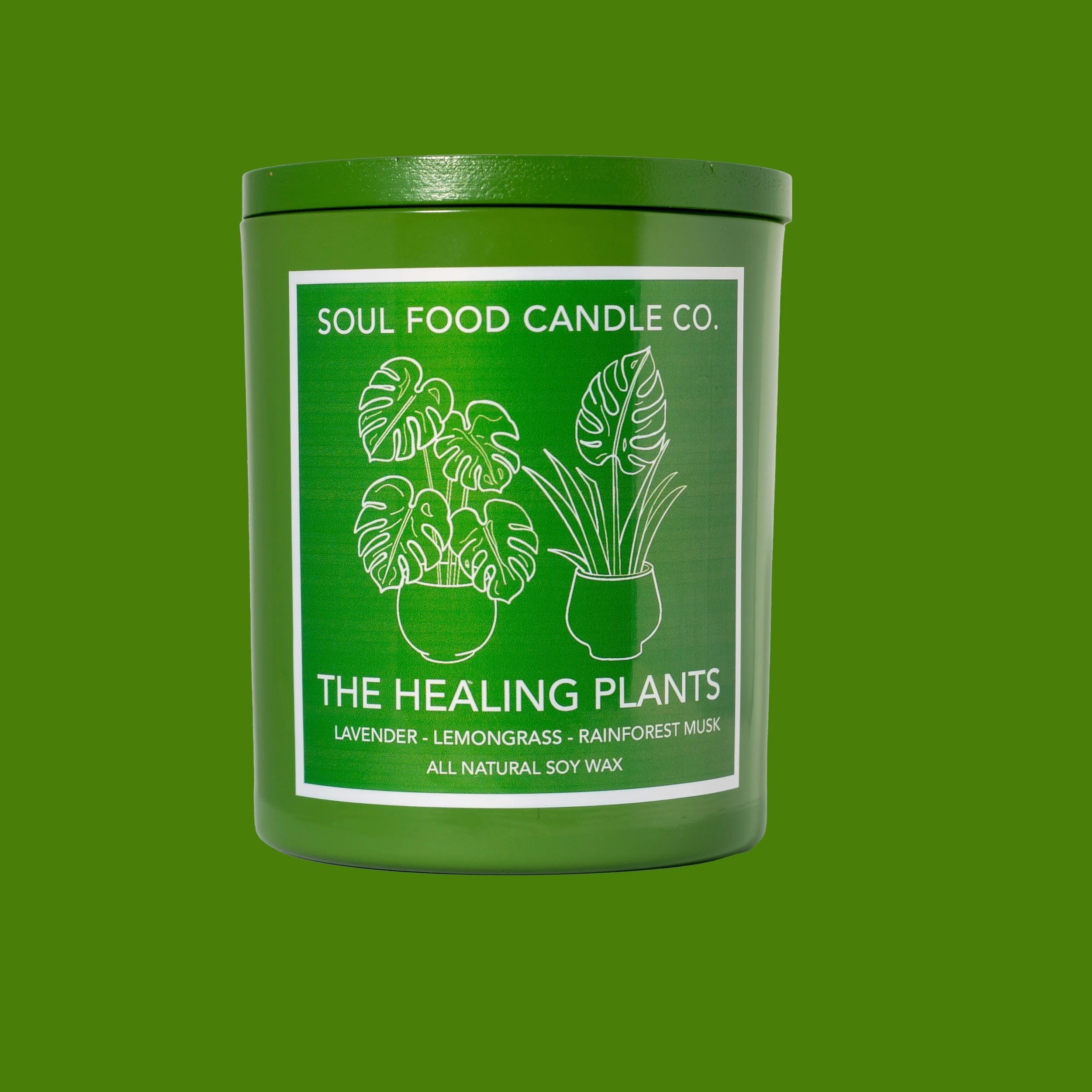 healing plants 1.jpeg