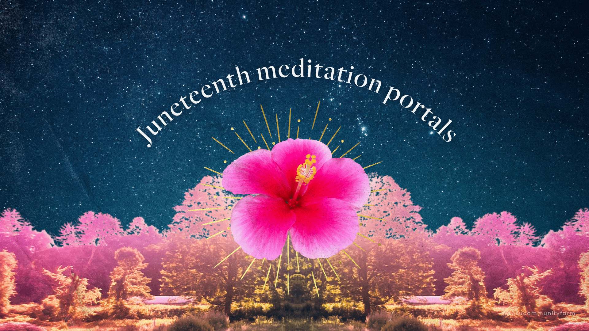 Juneteenth meditation portals
