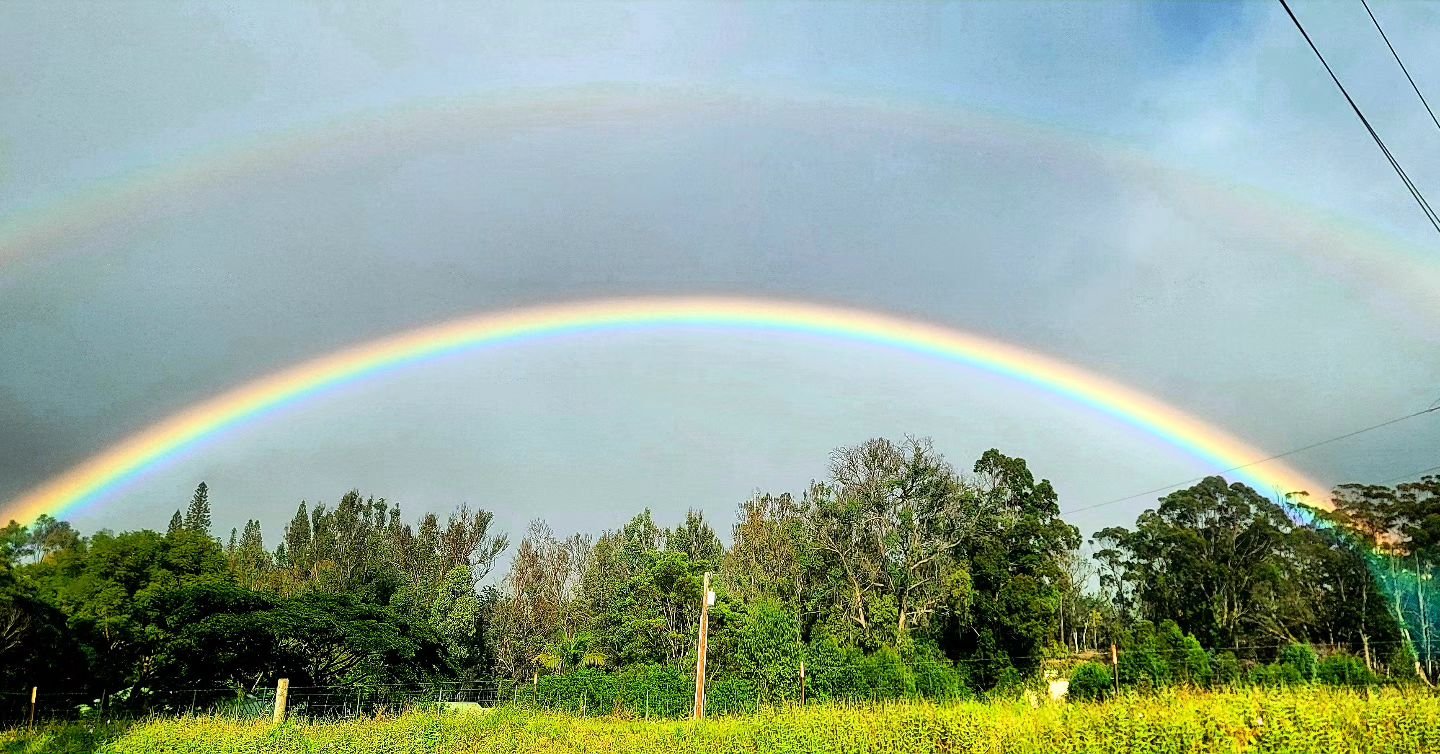 Had to stop to take this photo - pounding sideways rain and some sunshine is a beautiful combination😍🙏🏽