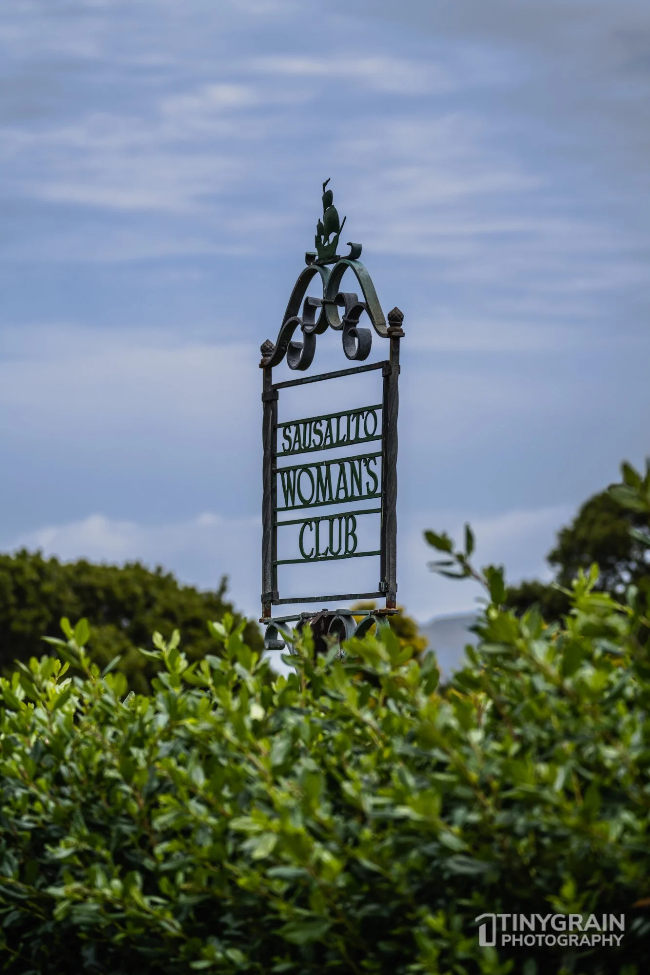 20230528-Sausalito-A7503264-bay-area-sausalito-flower-swc-womens-club.jpg