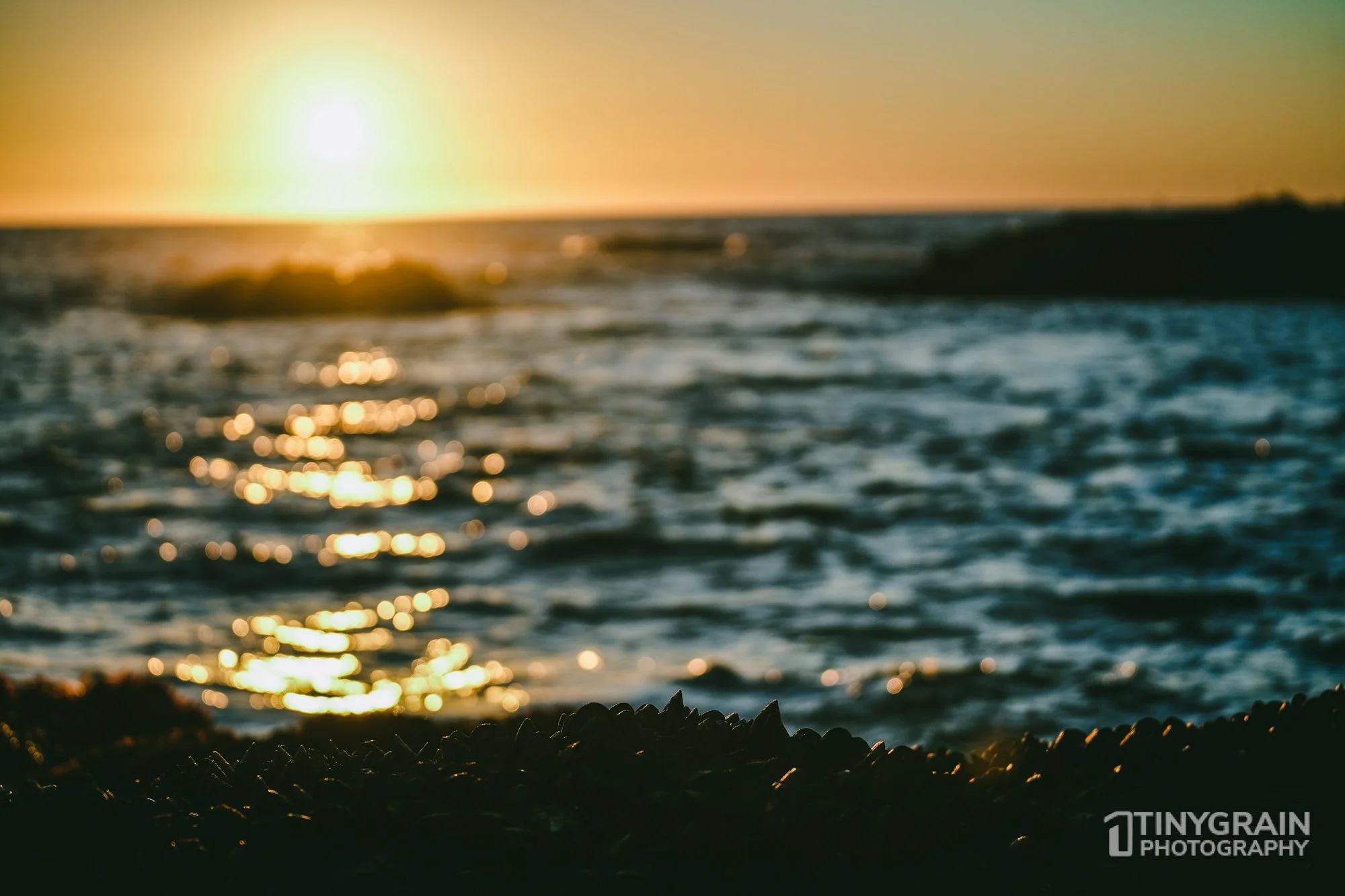 The Sea Ranch - Tidepools