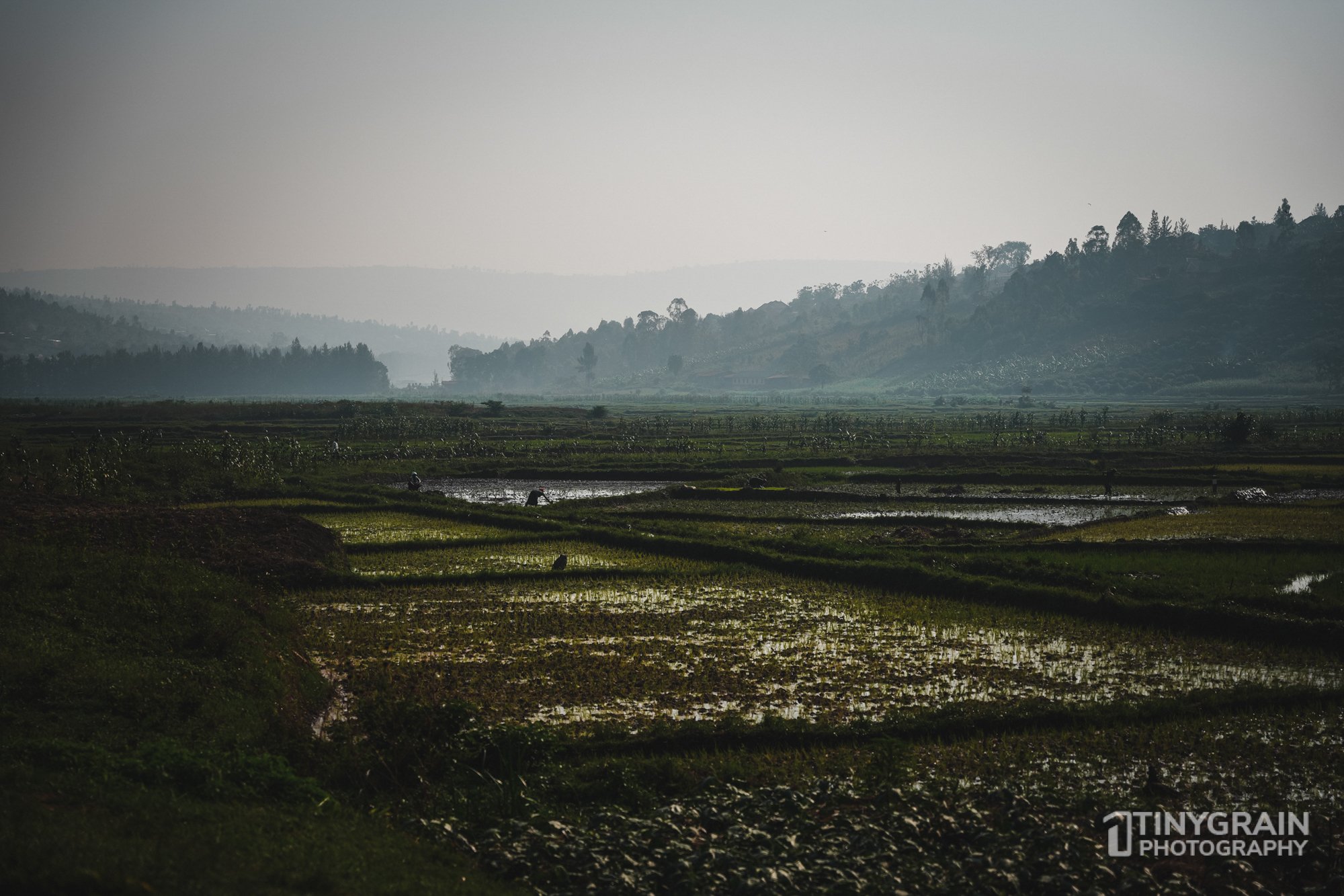 The Republic of Rwanda