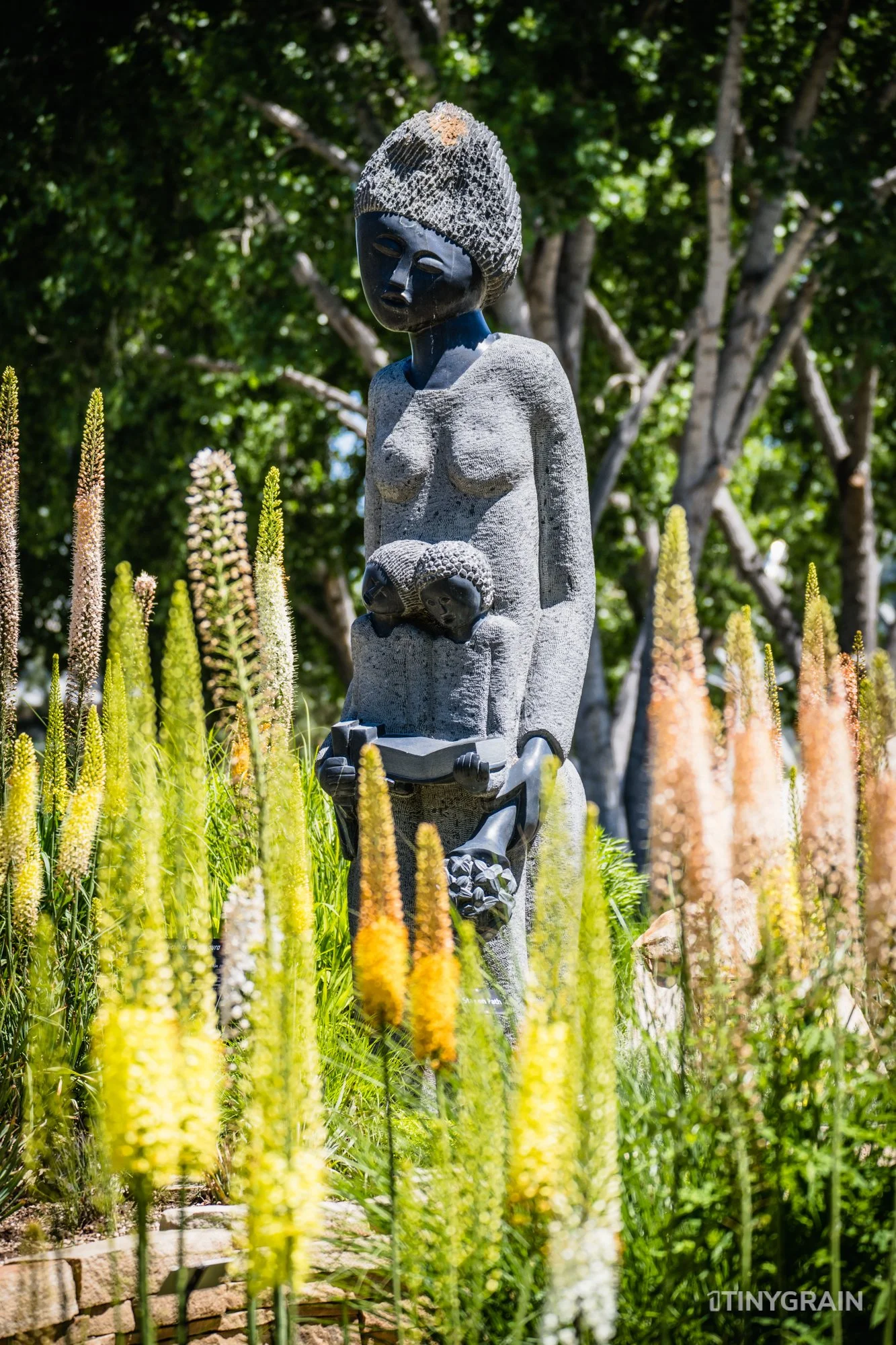 A7504153-Colorado-Denver-BotanicalGardens.jpg
