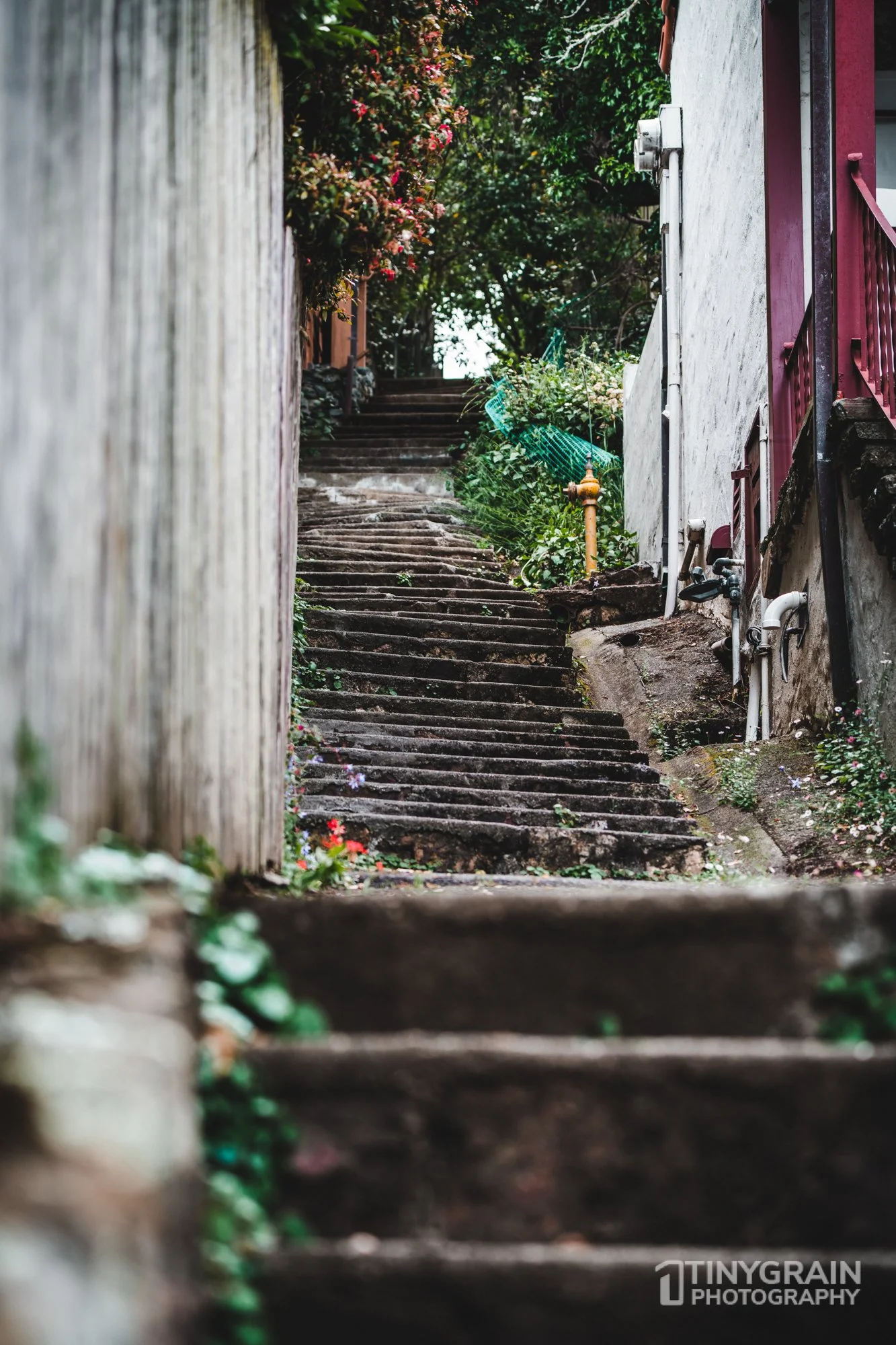 20230528-Sausalito-A7503435-bay-area-sausalito-stairs.jpg