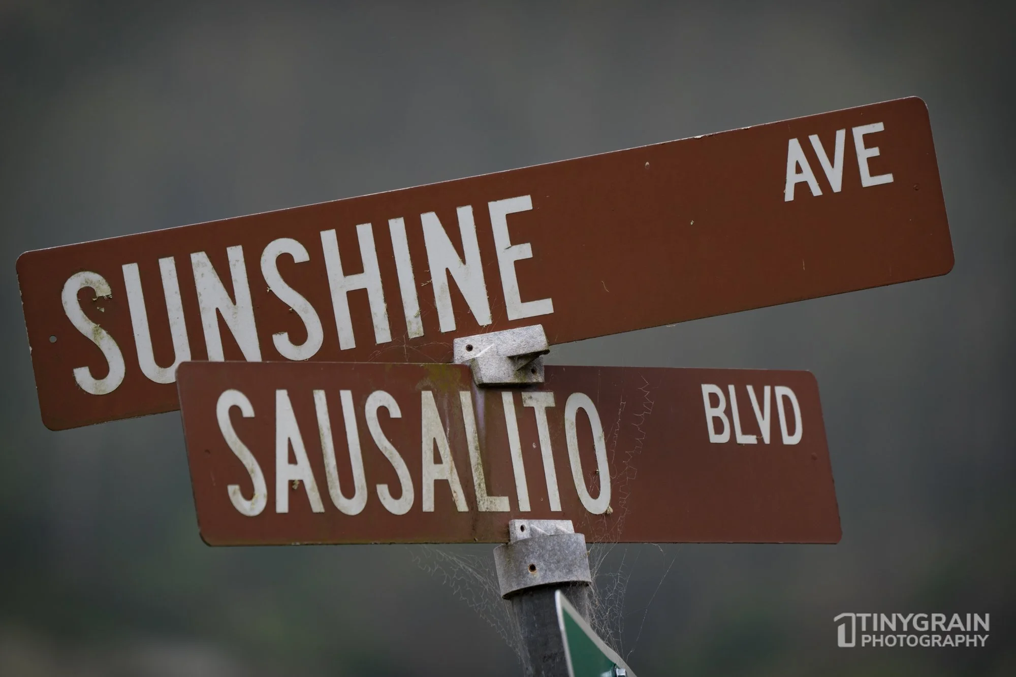 20230528-Sausalito-A7503450-bay-area-sausalito-sunshine-streetsign.jpg