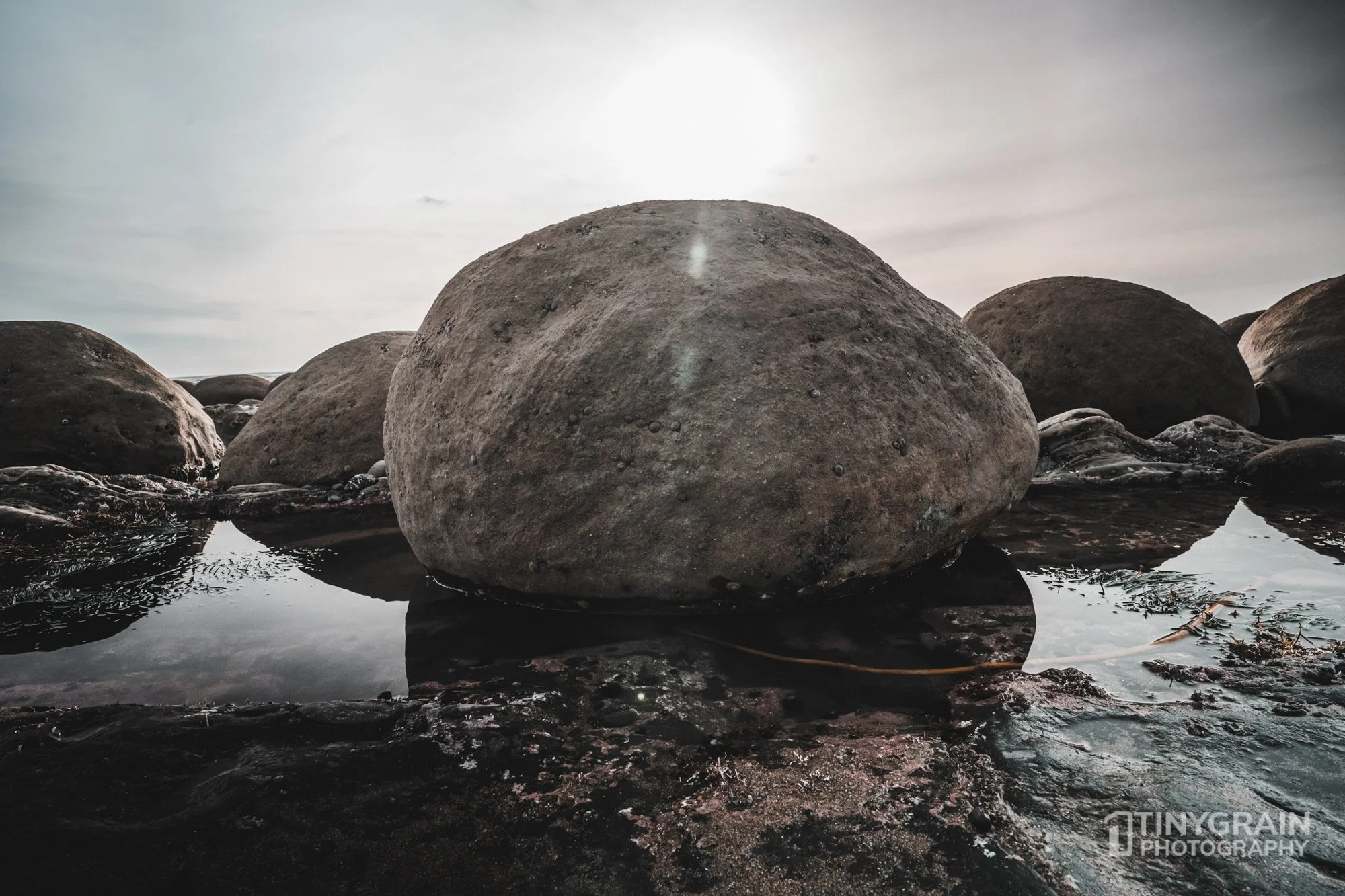 20230218-TSR-BBB-A7400804-the-sea-ranch-marine-conservation-pacific-ocean-bowling-ball-beach.jpg