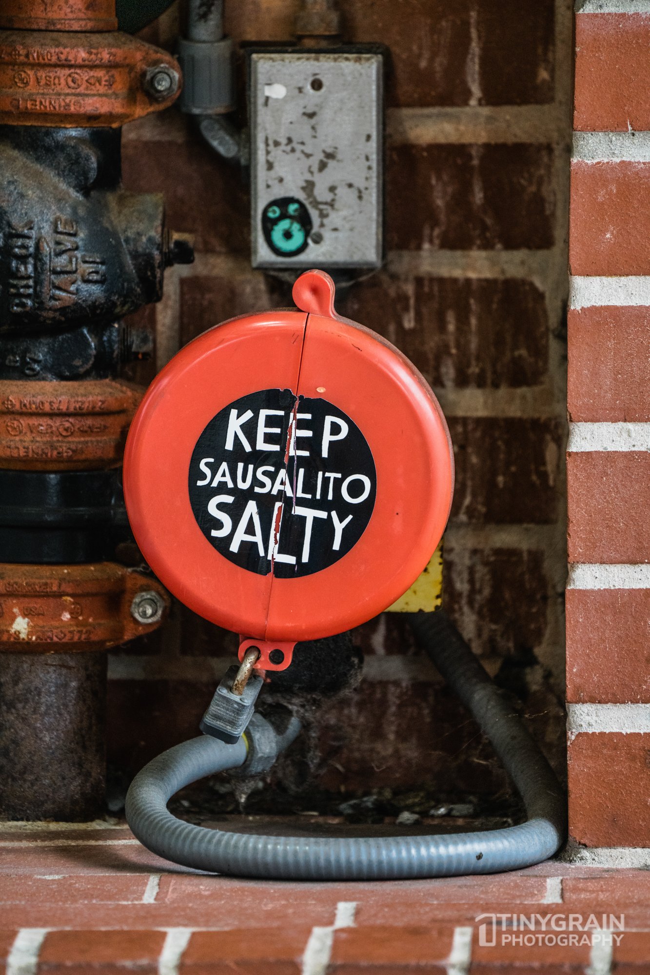 20230528-Sausalito-A7503280-bay-area-sausalito-downtown-keep-salty.jpg