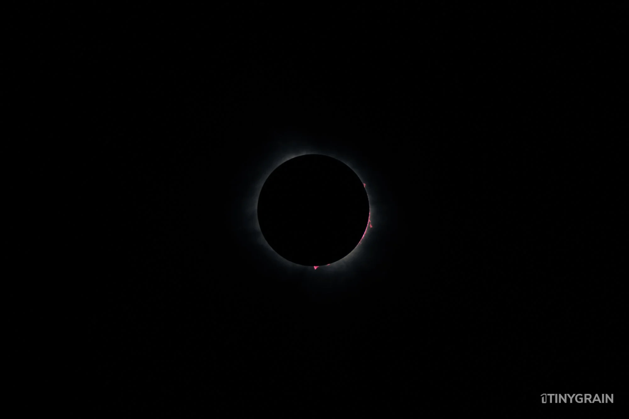 20240409-Eclipse-DallasTX-A7500726-2024-texas-totality-solar-eclipse-sun-moon.jpg