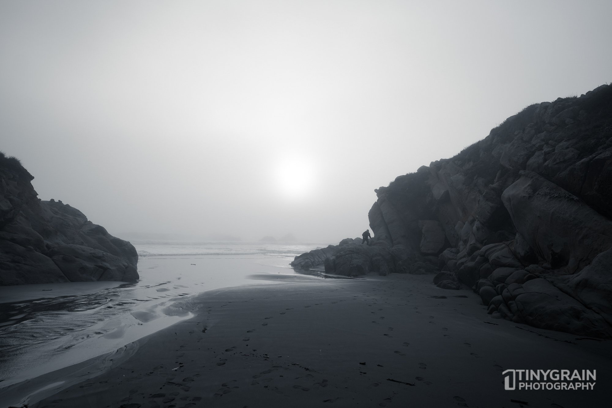 202212-TSR-SalalTrail-A7406439-the-sea-ranch-conservation-pacific-ocean.jpg