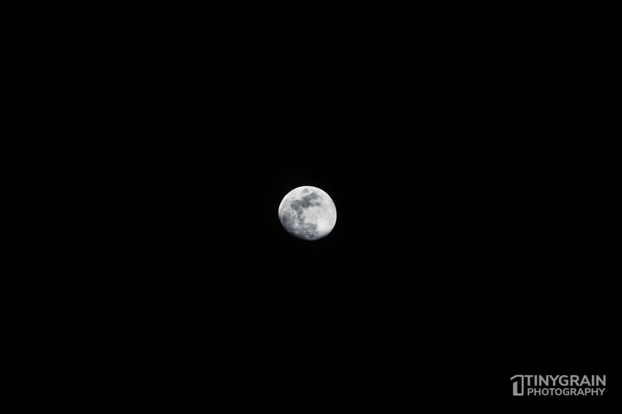 20230103-TSR-MENDO-A7407279-mendocino-marine-conservation-pacific-ocean-moon-lunar.jpg