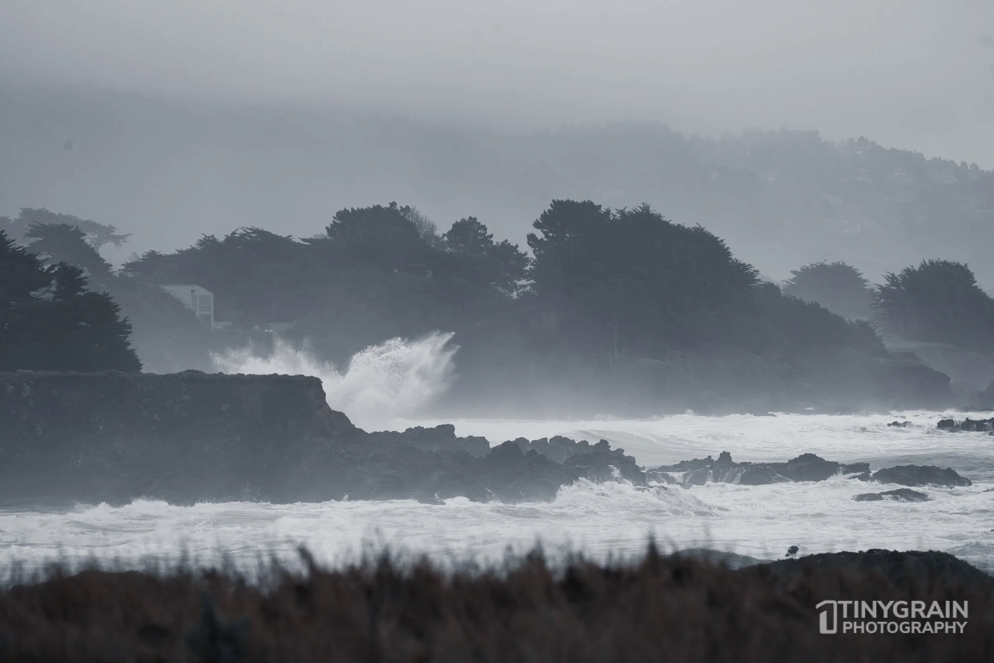 202212-TSR-NorthBluffWalk-A7406460-the-sea-ranch-marine-conservation-pacific-ocean-bluff-waves.jpg