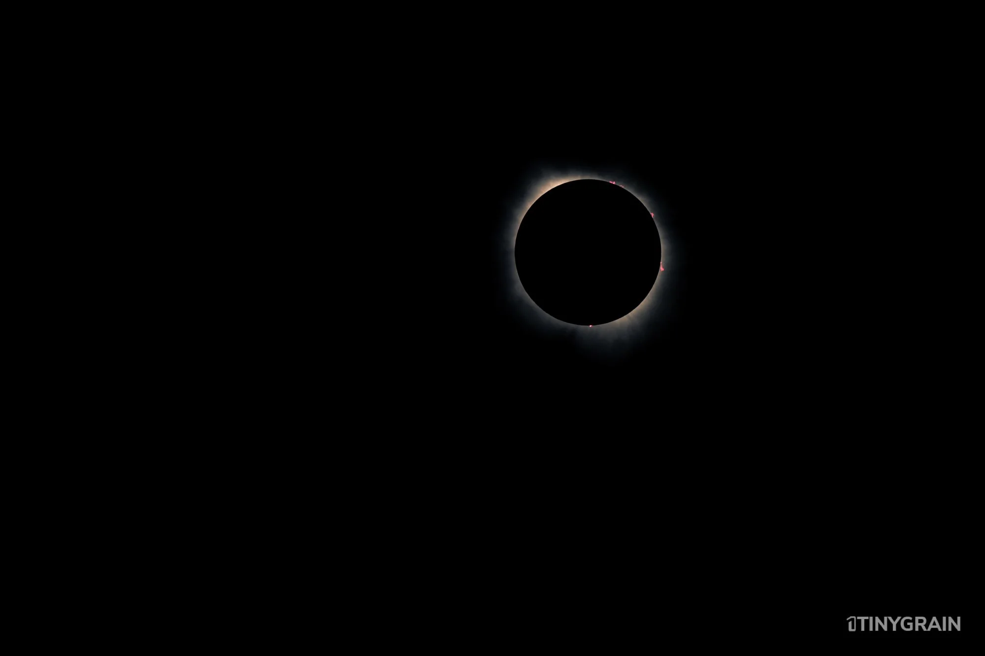 20240409-Eclipse-DallasTX-A7500711-2024-texas-totality-solar-eclipse-sun-moon.jpg