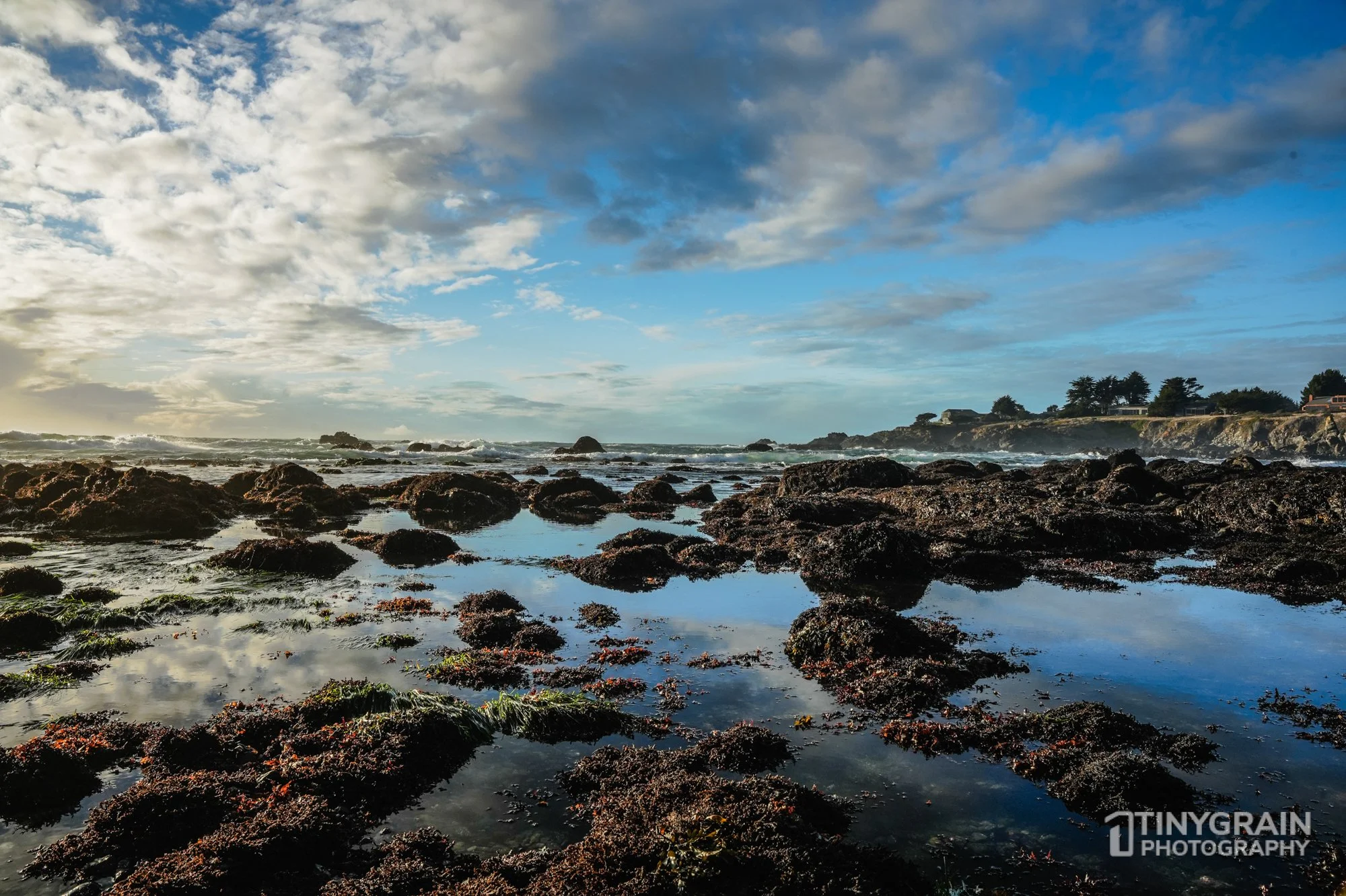 202212-TSR-PebbleBeach-A7405098-the-sea-ranch-marine-conservation-pacific-ocean.jpg